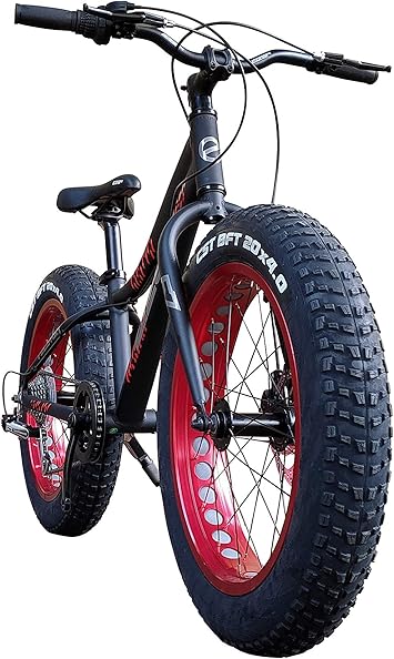 Eizer アイゼル ビーチクルーザー ファットバイク さらに進化した 迫力のインチ 極太タイヤ Wディスクブレーキ Cncディンプル加工アルミホイールに 軽量アルミフレーム と7速を組み合わせ走行シーンを選ばず目立つ 比べてください 他とはスペックが違います Eizer アイゼル ビーチクルーザー ファットバイク さらに進化した 迫力のインチ 極太タイヤ Wディスクブレーキ Cncディンプル加工アルミホイールに 軽量アルミフレーム と7速を組み合わせ走行シーンを選ばず目立つ 比べてください 他とはスペックが違います