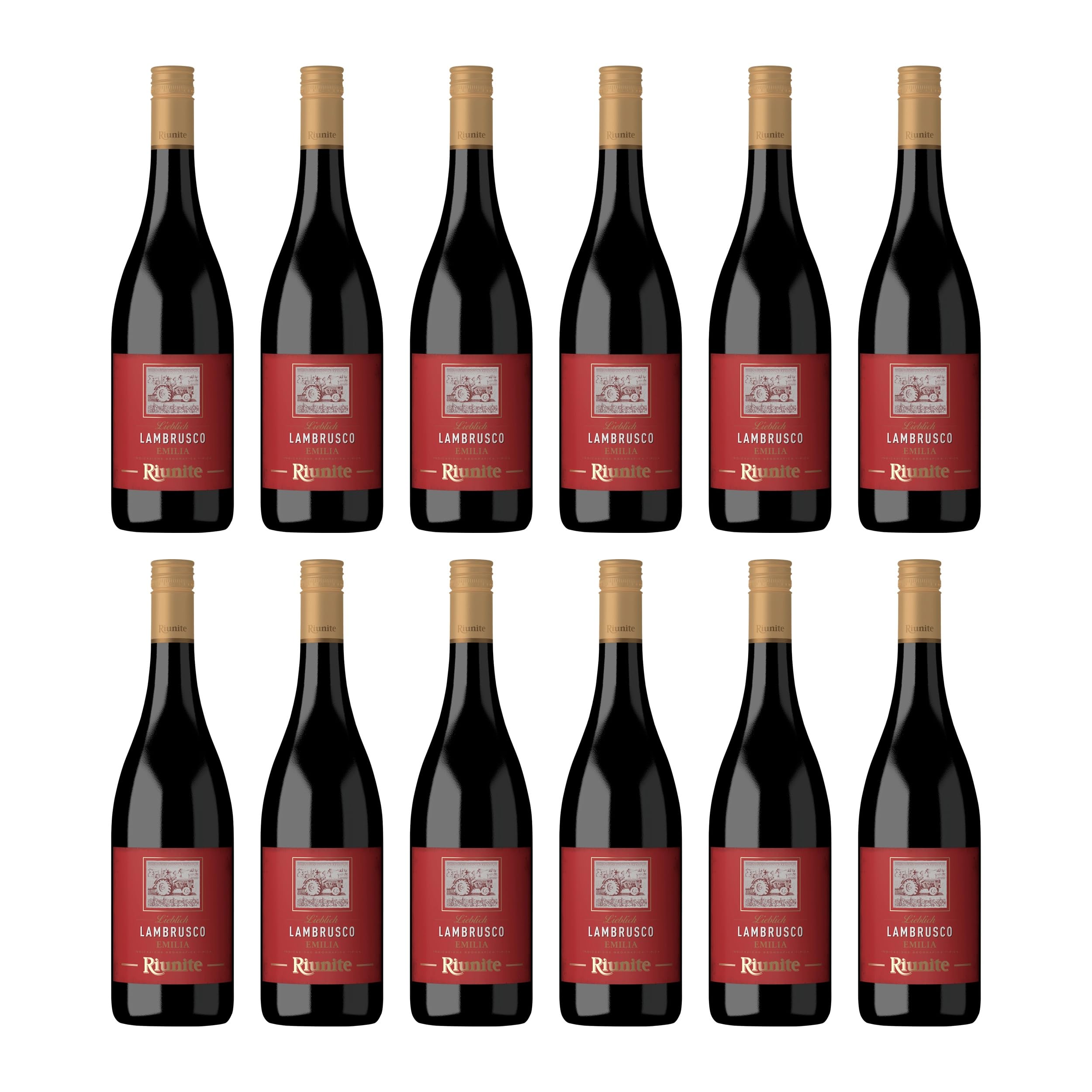 Cantine Riunite Lambrusco Dolcezza Rosso Emilia IGT süß Rotwein Italien inkl. Feinwert E-book (12 x 0.75 l)