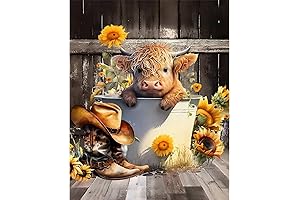 Highland Cow Paint by Numbers for Adults