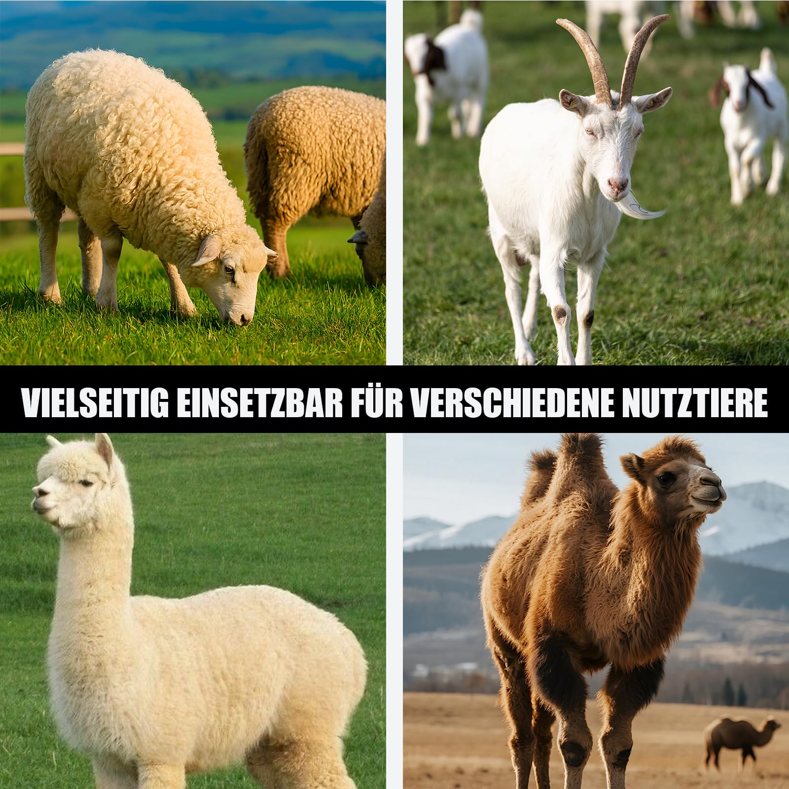 Elektrische Schafschermaschine 690W Professionelle Wollschere mit 6 Geschwindigkeiten 3 Meter Netzkabel Tierschermaschine für Schafe, Ziegen, Alpakas und Lamas (Rot)