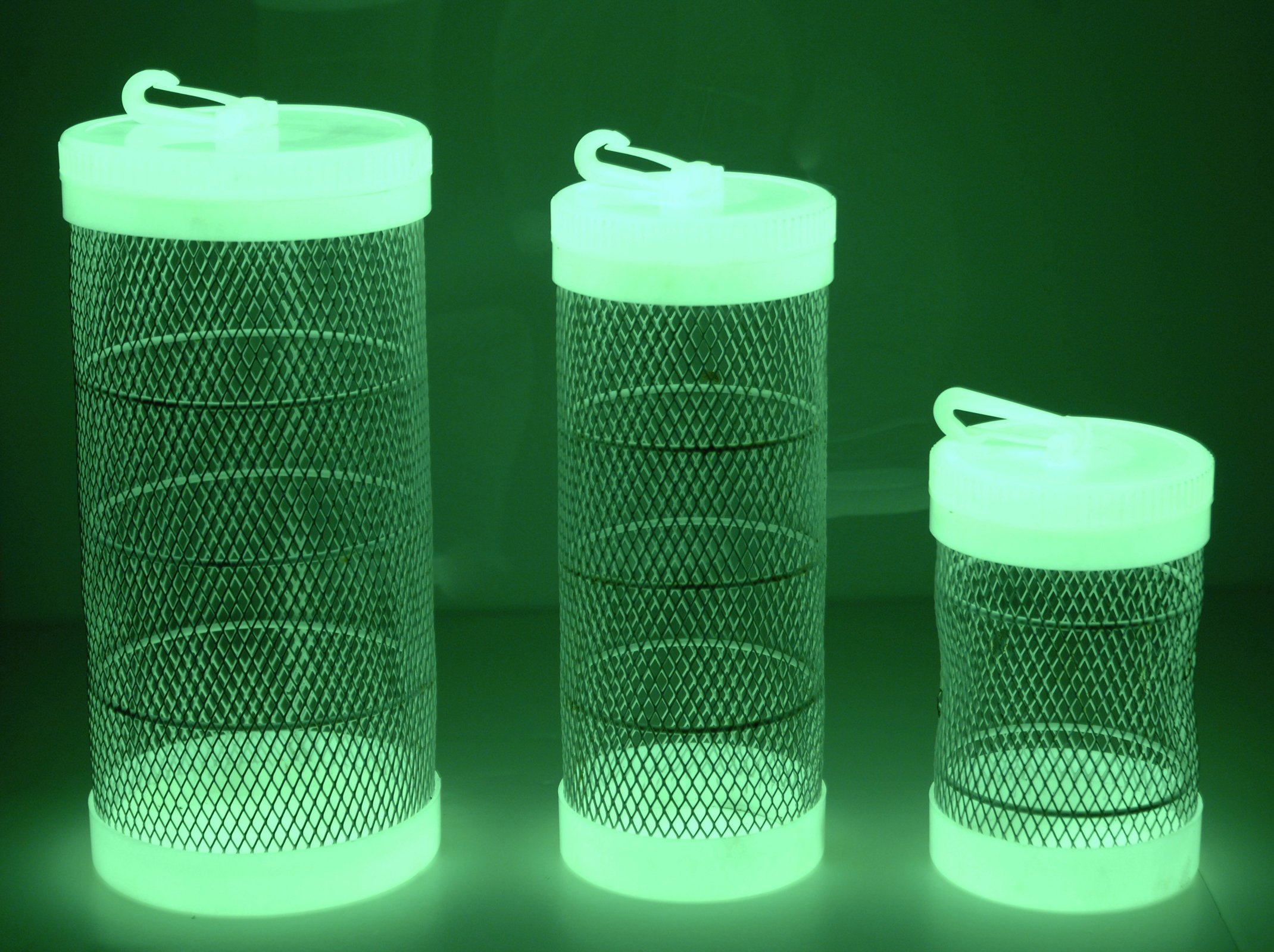 Danielson Glow Bait Barrel Sports & Outdoors Bait Traps Hunting & Fishing