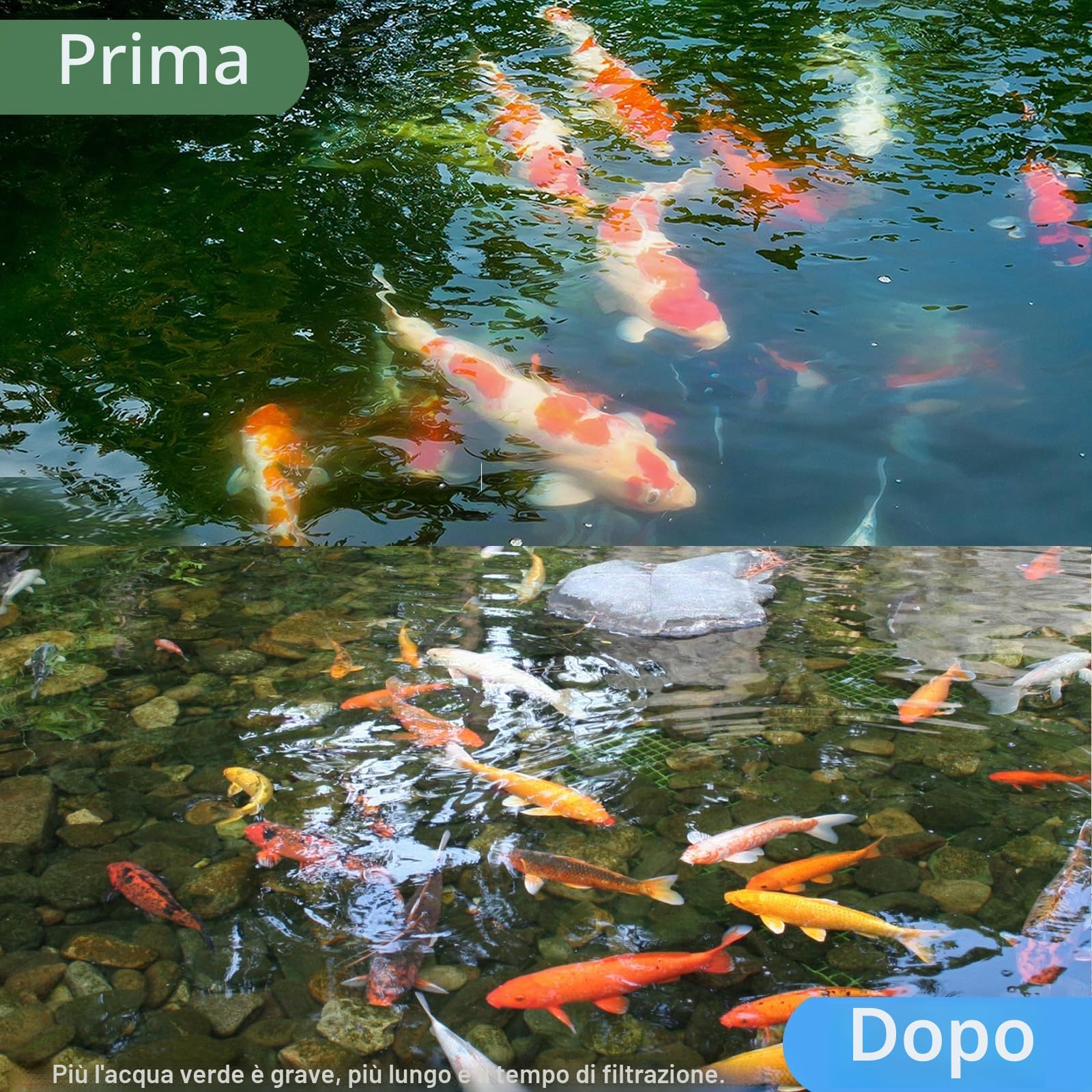 Luce UV per Stagno da 55W per 1892-19036 Litri, Luce UV per Acquario, Chiarificatore UV per Acqua per Stagno, Immersione Fredda, Stagno Koi, Acquario, Piscina e Vasca per Pesci per il Controllo delle