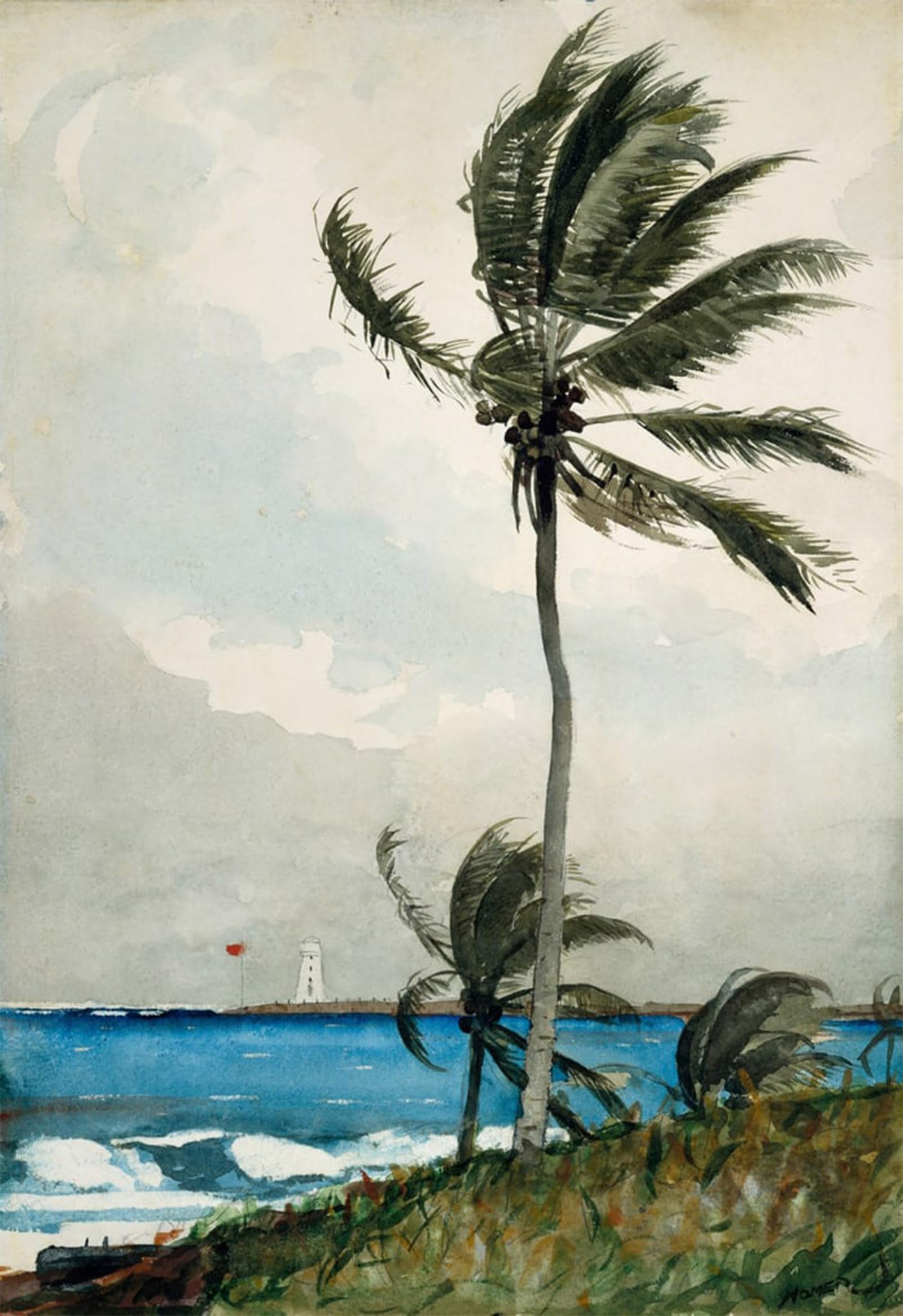 POSTERIIk Vintage Art Print Images Pictures Print Palm Tree Nassau by Winslow Homer Modern Colour Posters for Office Home Decor 60x90cm