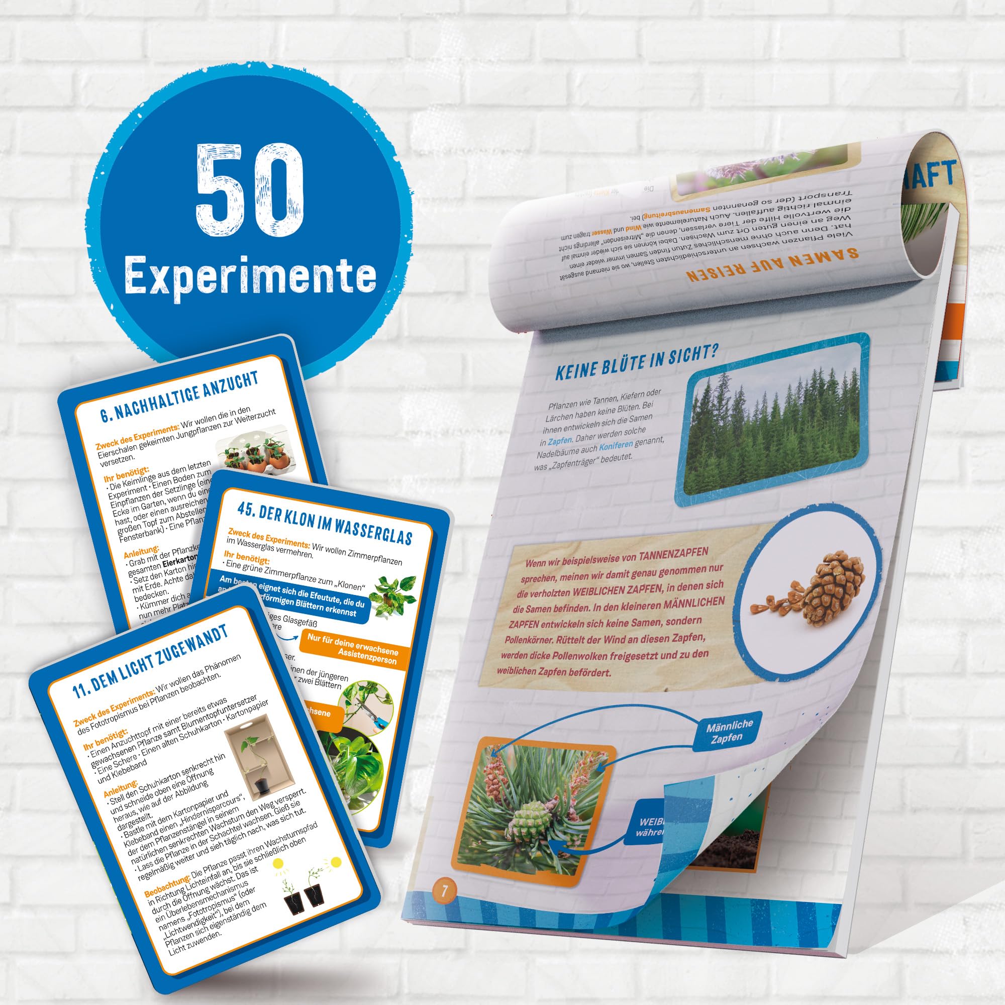 Woozle Goozle Botanik – Laboratorio Sperimentale Per Bambini, Kit Scienza Con Squali E Dinosauri - 2