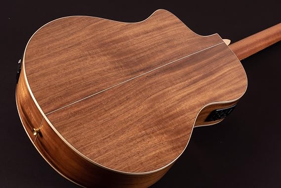 Washburn Bella Tono Allure SC56S Acoustic-Electric Guitar (BTSC56SCE-D)