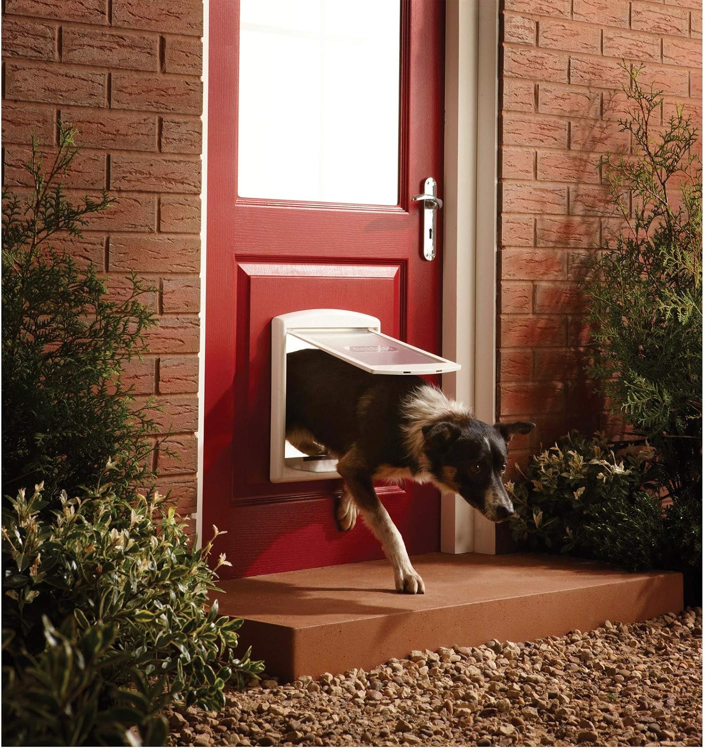 Unlock Freedom: A Review of the PetSafe 740SGIFD Staywell 2-Way Pet Door