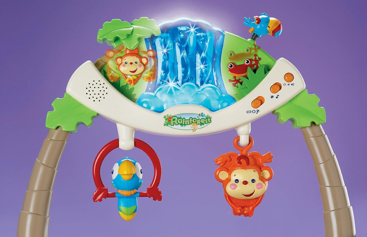 Fisher-Price Rainforest Bouncer