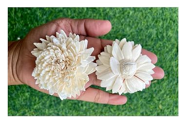 SPHINX Sola Zinnia/daisy Flowers for Festive decor, Christmas decorations Pooja decor Wedding Housewarming table decorations - (( Diameter approx 6 cms) - 5 Pieces, Natural Off-white/cream)