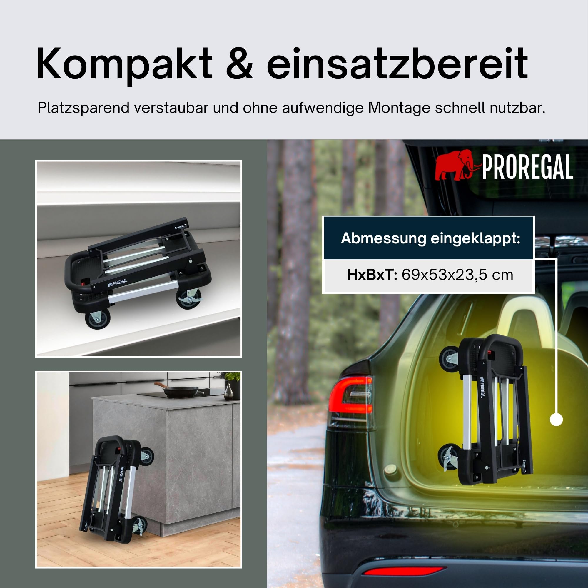 PROREGAL Klappbarer Profi-Transportwagen Taurus 150 | HxBxT 97x46x76cm | Traglast 150kg | Höhenverstellbarer Griff | Plattformwagen Transporthilfe Klappwagen Paketwagen Lagerwagen
