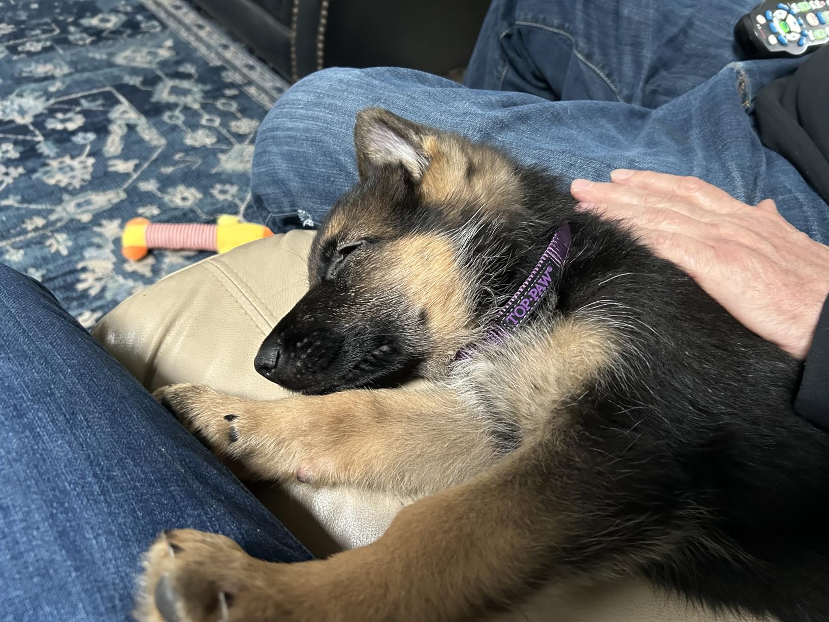 Dog Toys 25 Pack for Fun and Teeth Cleaning, Puppy Chew Toys Pack with Squeak Plush Toy,Squeaky Toy Balls,Tug of War and Rope Toys for Puppy to Small Dogs photo review