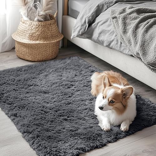 OLANLY 2x3 Machine Washable Small Bedside Rug, Soft Fluffy Shaggy Entryway Throw Rugs for Bedroom, Living Room, Indoor Floor Carpet for Kids Girls and Boys, Nursery Rooms, Home Decor Aesthetic, Grey - 2x3 ft - Grey