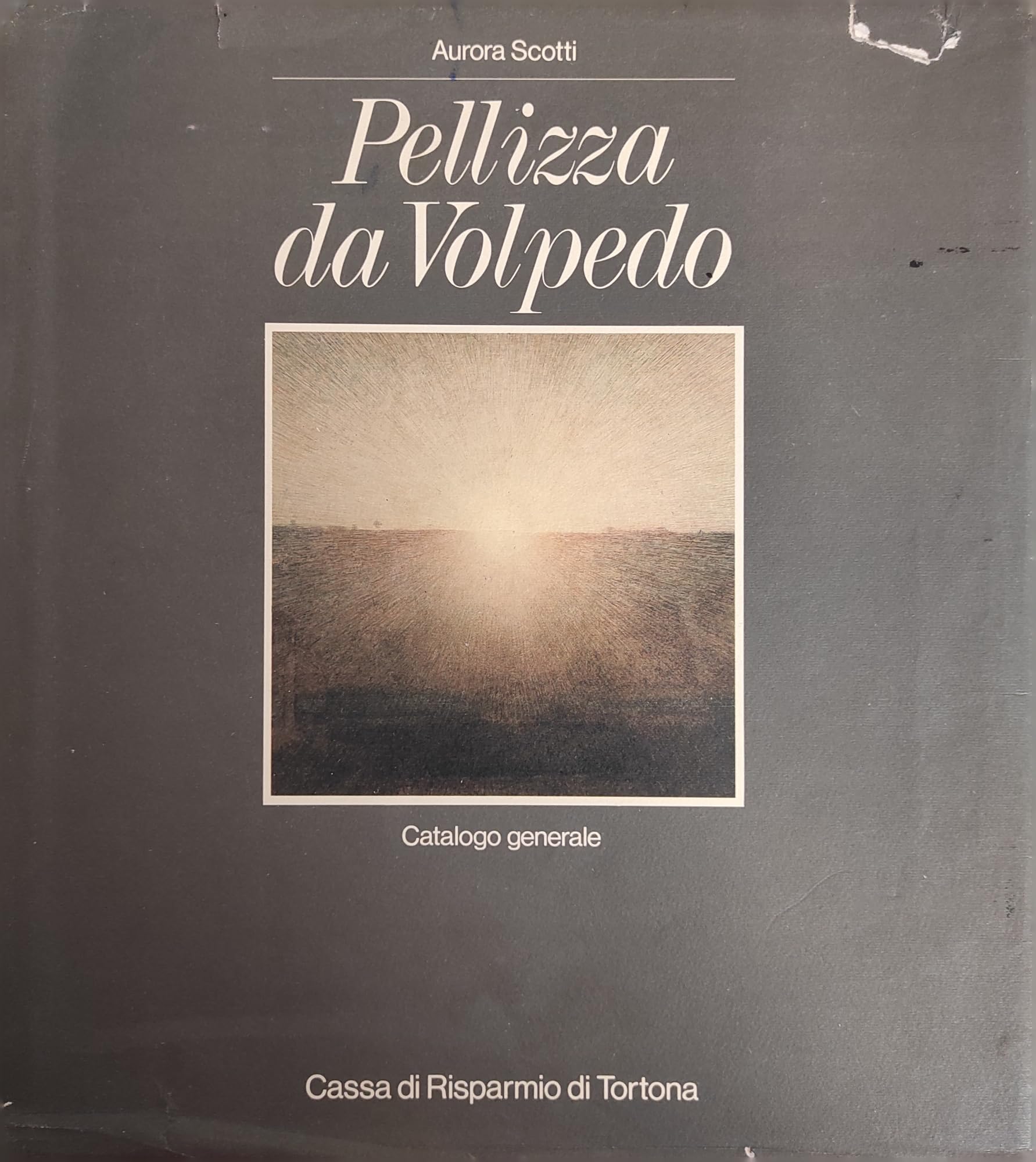 Pellizza da Volpedo. Catalogo generale. Ediz. illustrata (I moderni e i contemporanei)