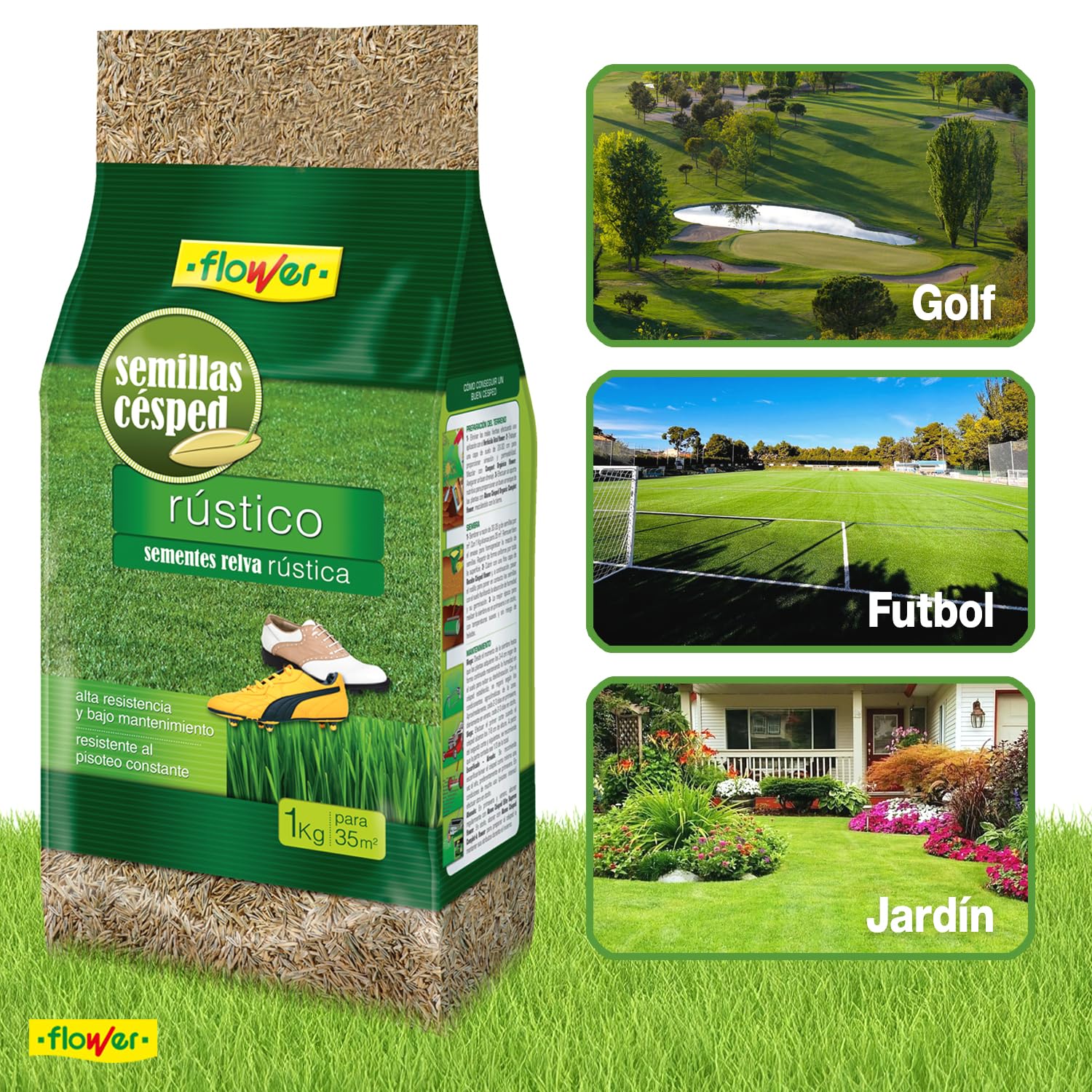 Flower - Heavy Duty Rustic Grass Seeds 1kg | Fast Growing | Ideal for Passage Areas | Low Maintenance | Covers 35m2 | Drought Resistant - 5