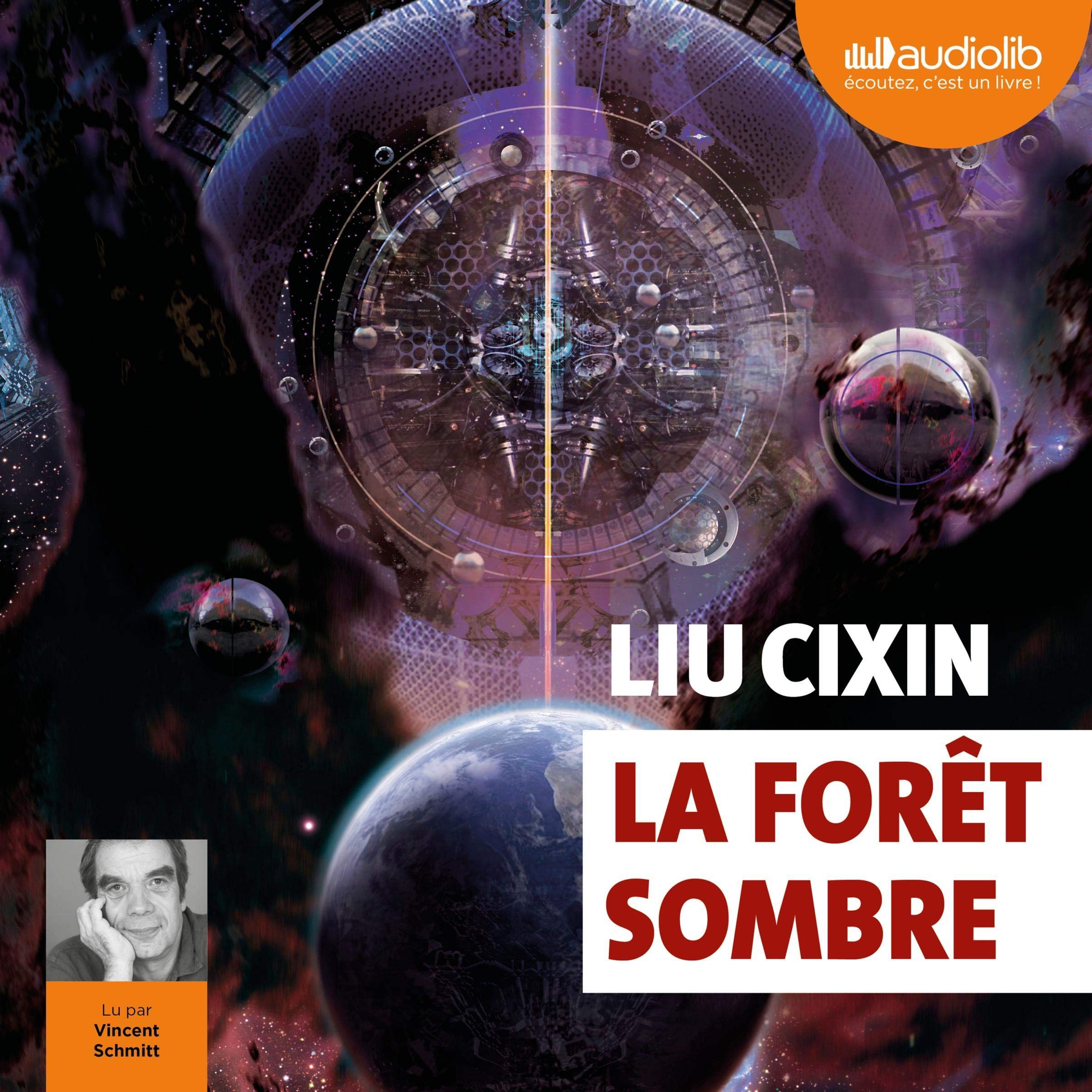 Cover art for La Forêt sombre