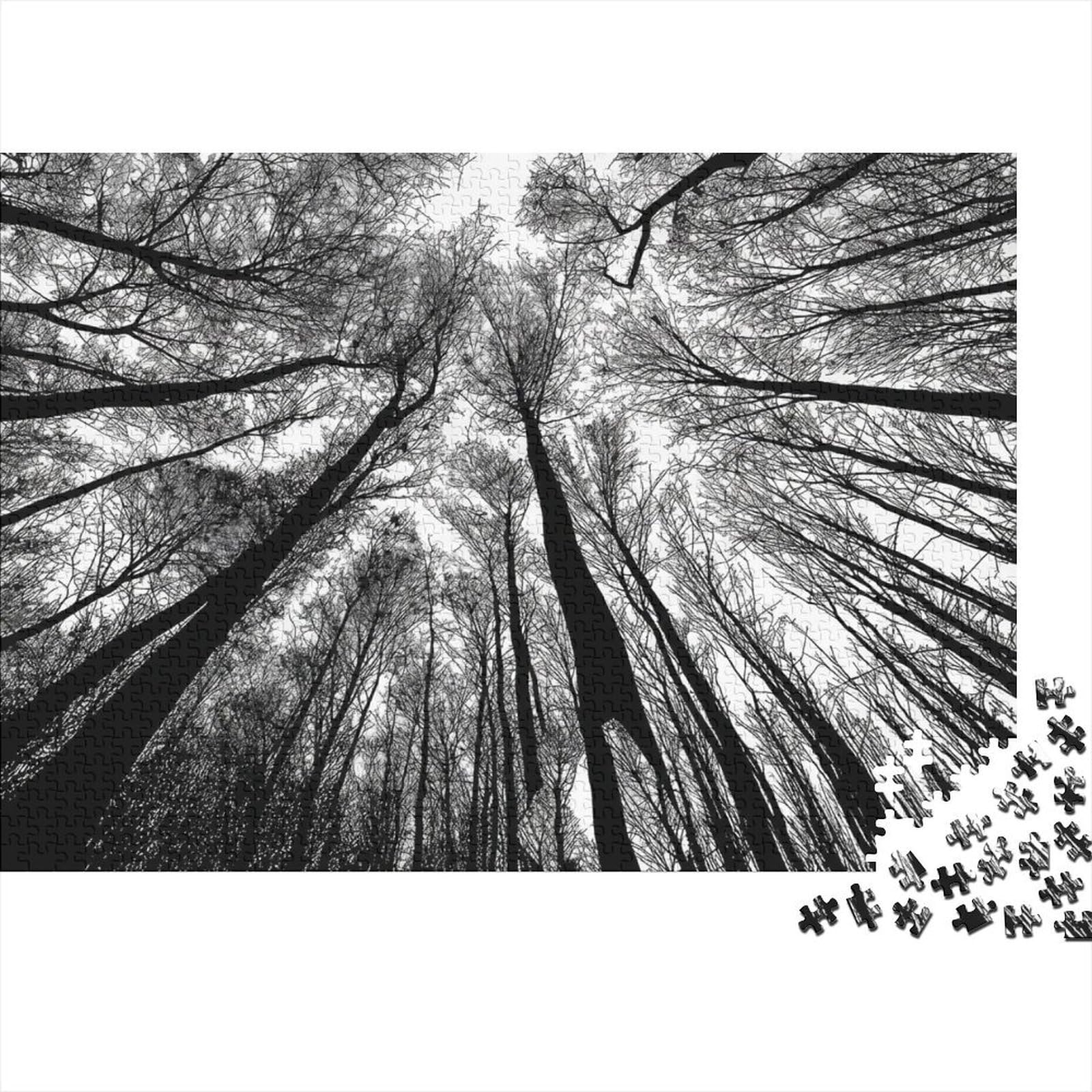 Tall Forest Trees 1000 Piece Jigsaw Puzzles For Adults Paper Puzzle Sunlight Forest Scene Relaxing Focus Home Décor Gift 70x50cm/1000pcs