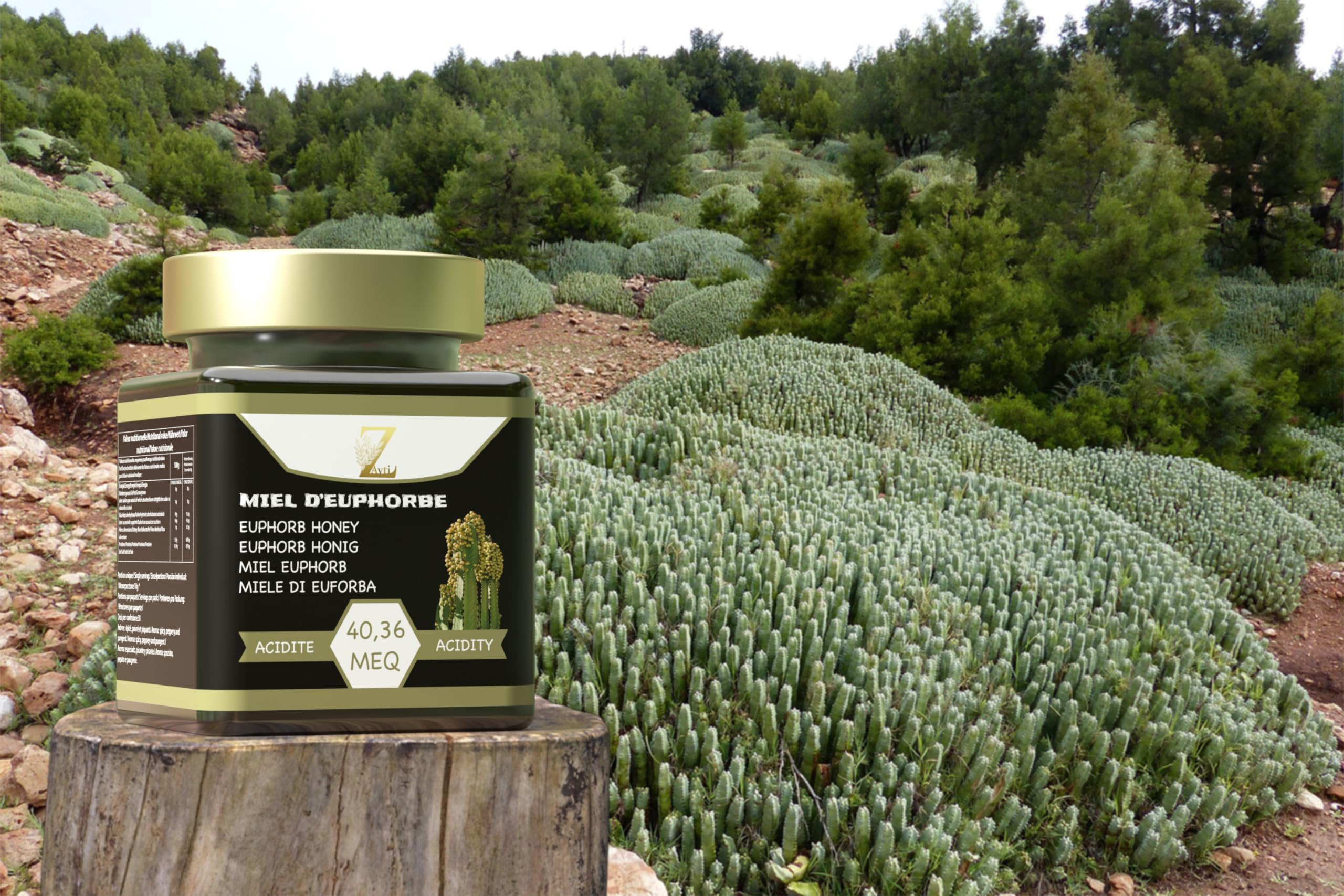 Miel di euforbia (honey) del Marocco 100% puro e naturale vero premium 300 g - qualità più sottile, grande varietà di sapori deliziosi. (300g)