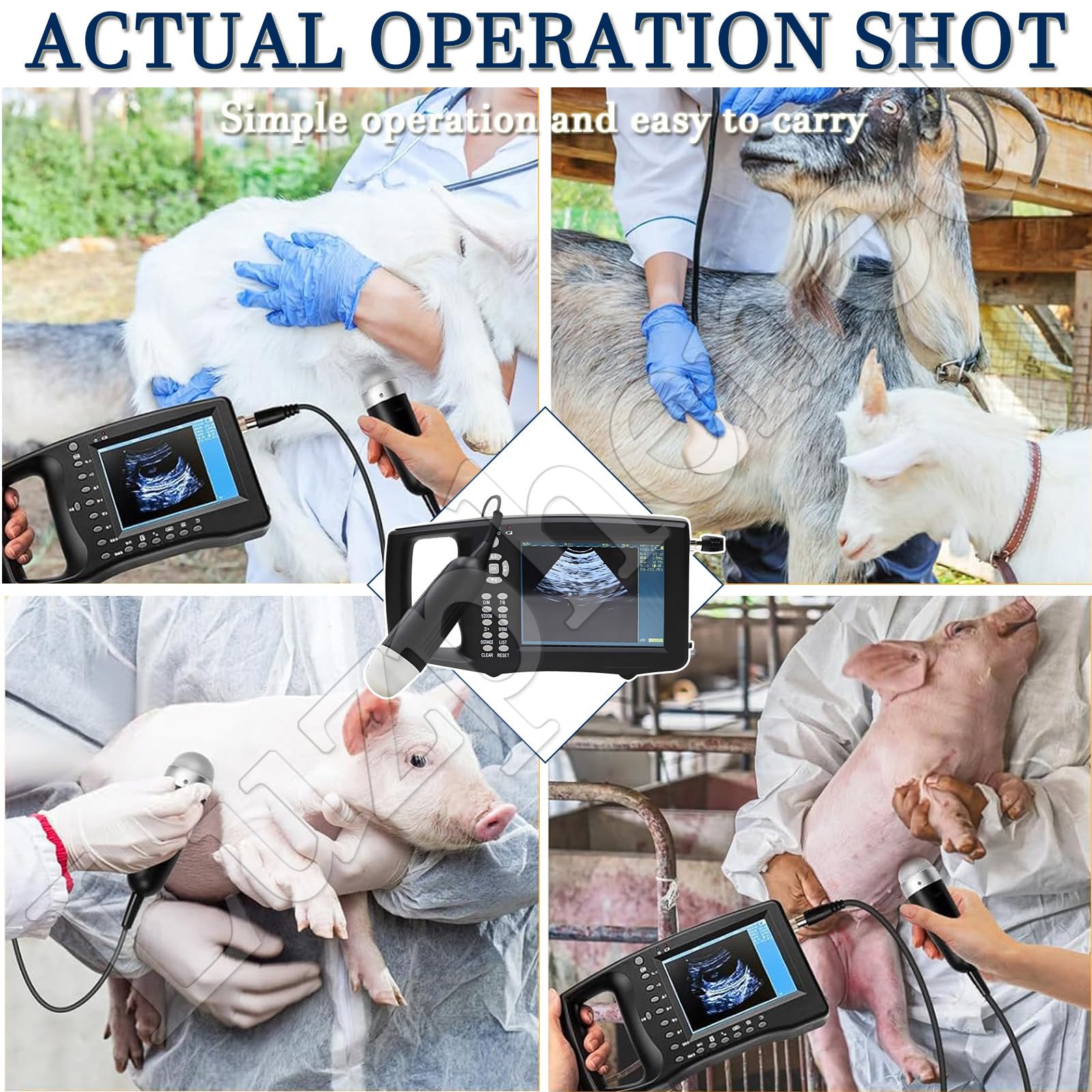 Scanner ad ultrasuoni per gravidanza, macchina veterinaria ad ultrasuoni con sonda 3.5MHz, schermo LCD portatile da 5,6 pollici, strumento diagnostico leggero