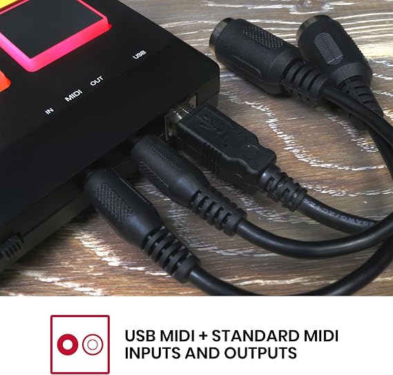 Akai Professional MPX8 USB MIDI Sample Pad Controller | 8 Velocity-Sensitive Pads, MIDI Connectivity, SD Card Slot, for Sampling and Beat Making