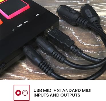 Akai Professional MPX8 USB MIDI Sample Pad Controller | 8 Velocity-Sensitive Pads, MIDI Connectivity, SD Card Slot, for Sampling and Beat Making