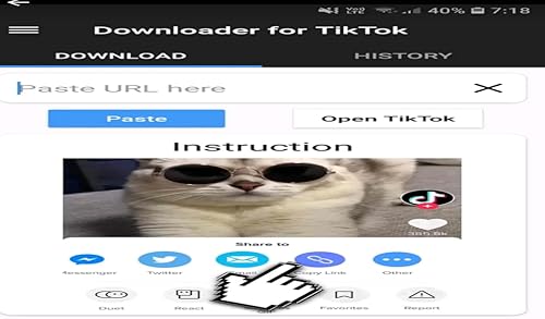 Downloader for Tik Tok