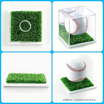 Amazon | Tubbi サインボールケース 野球 人工芝 ミラー付き 2個セット