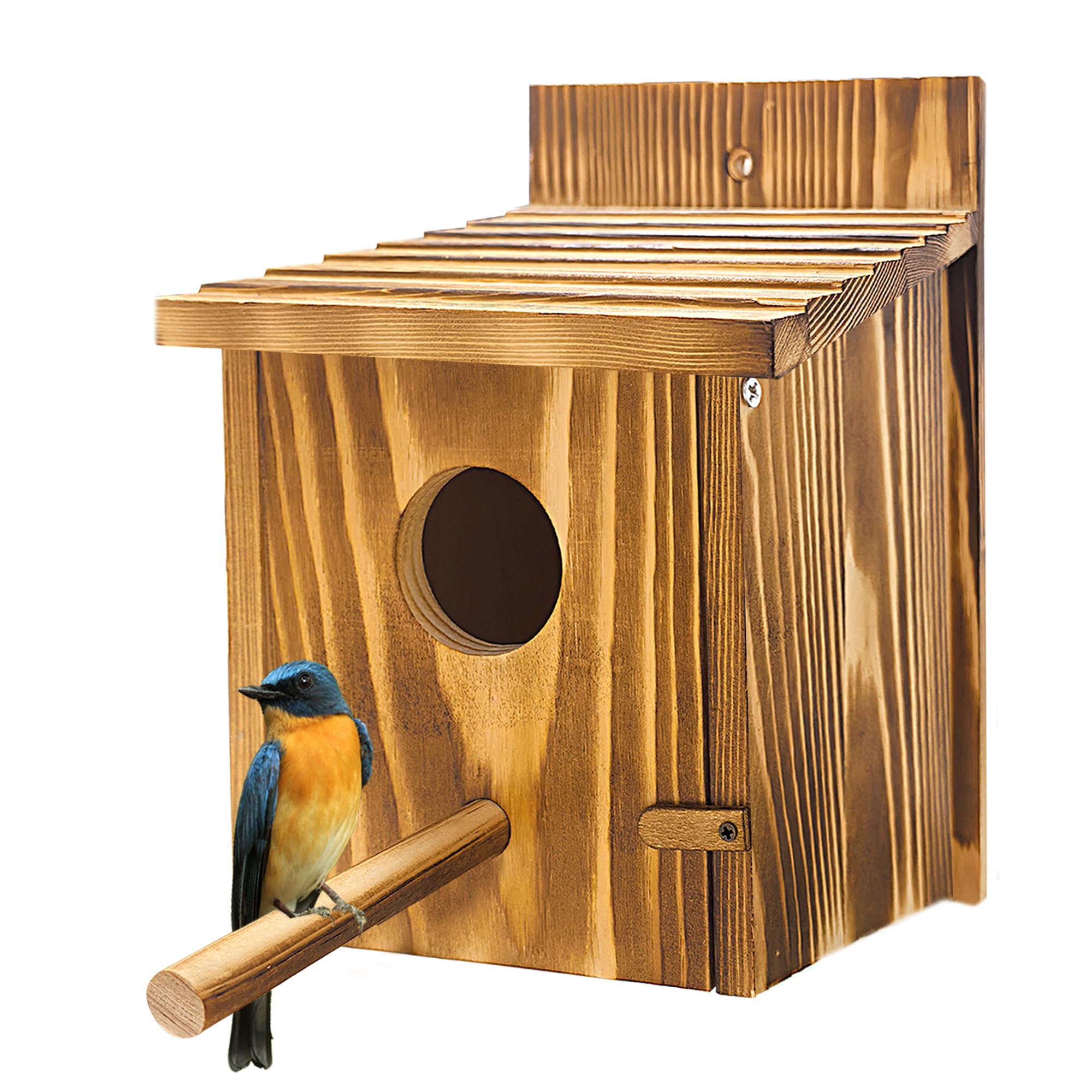 Casas de pájaros para exteriores, casa de pájaros de madera con percha desmontable, casas de pájaros azules de pinzón para colgar en el exterior para ver cabañas de campo