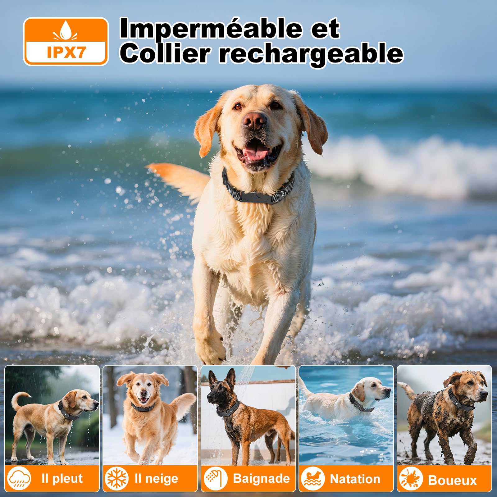 Collier de Dressage pour Chien, Collier Electrique pour IPX7 Résistant à L’Eau, 4 Modes de Dressage (Lumière, Bip, Vibration, Choc) avec Verrouillage de Sécurité, pour 1 Chien（Black）