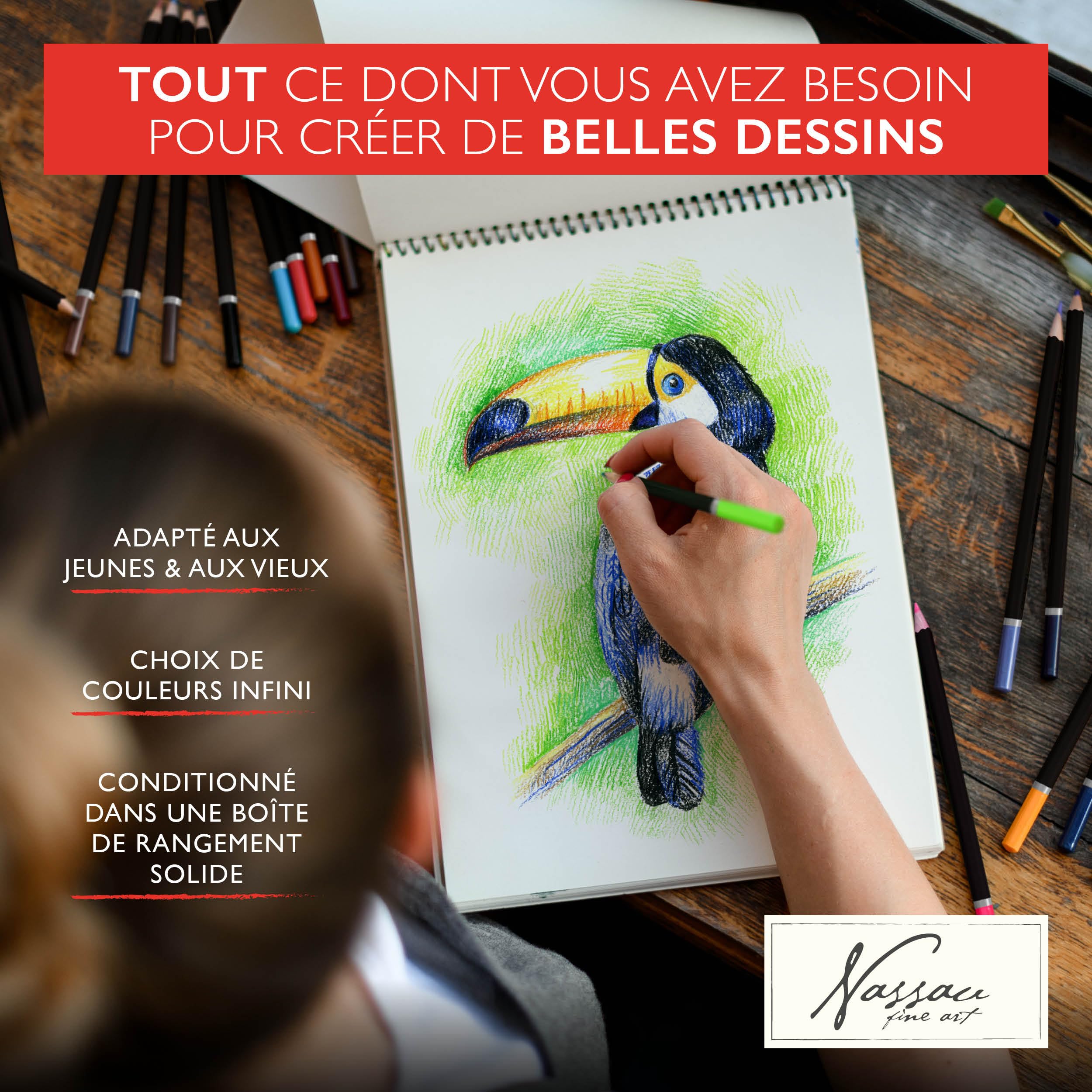 VAN NASSAU FINE ART Lot de 120 Crayons de Couleur Professionnels dans Une boîte de présentation en tôle | Crayons en Bois | Mines de Couleur de qualité supérieure | pour Enfants et Adultes