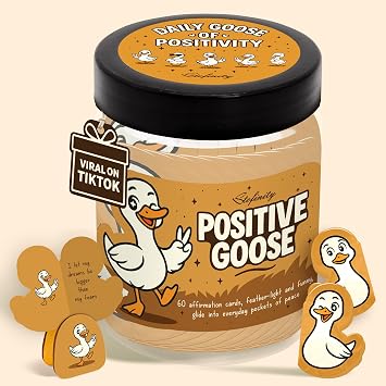 STOFINITY Positive Goose Jar, 60 Affirmation Cards and Wood Stand | 60 silly goose notes, wooden stand, bracelet, desk decor, gift for teen girls, coworkers, white elephant swaps