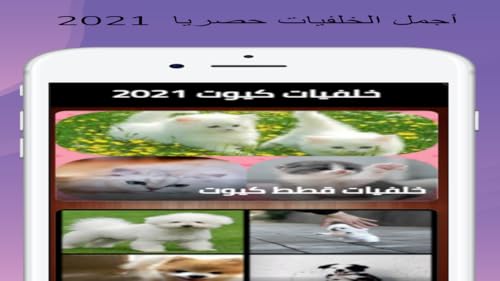 خلفيات كيوت 2021 - حمل أجمل الخلفيات