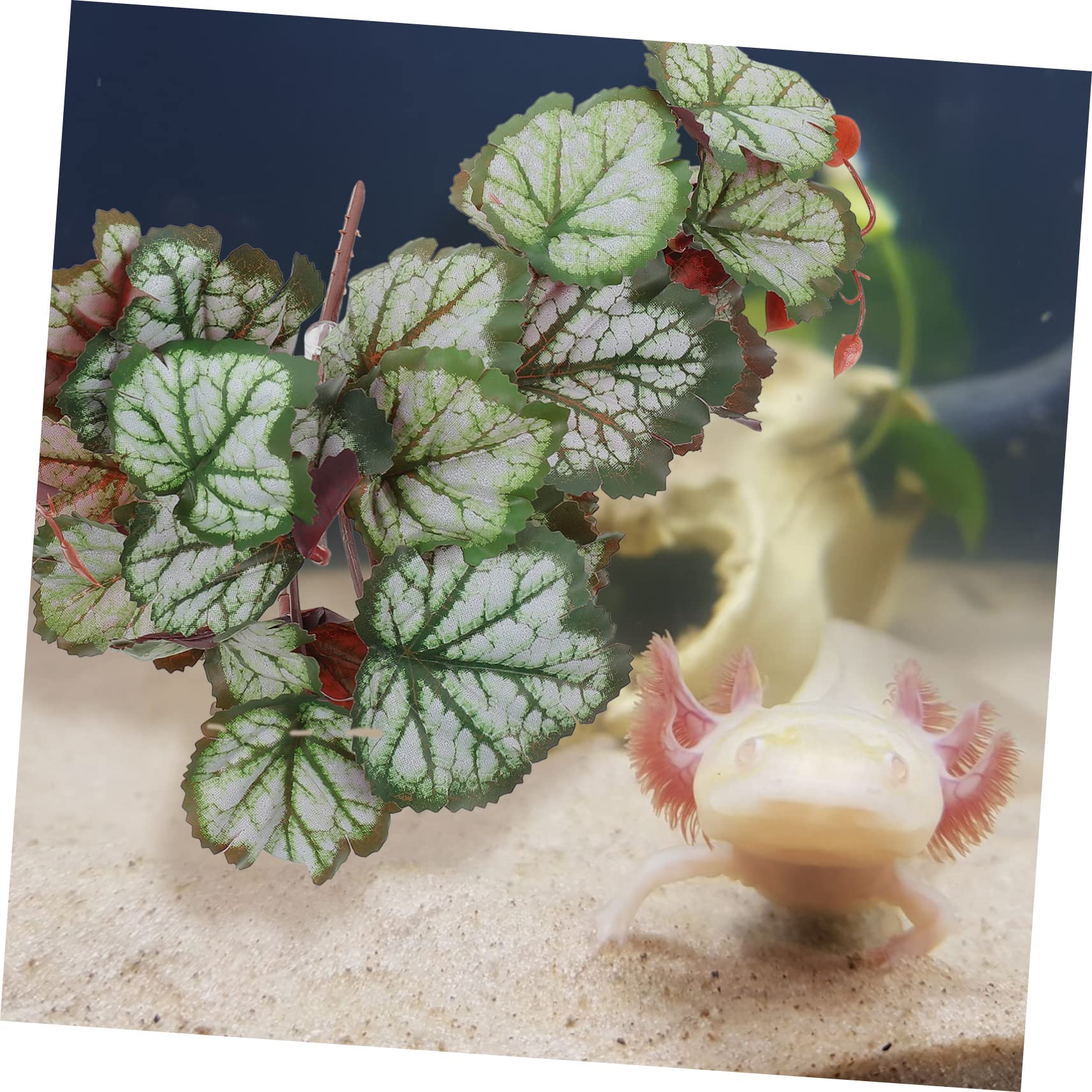 MAGICLULU 5piezas Adorno De Planta Artificial para Acuario y Terrario Decoración Lifelike para Peceras y Reptiles Accesorio Seguro y Duradero para Acuarios y Terrarios para Ocultar y Jugar