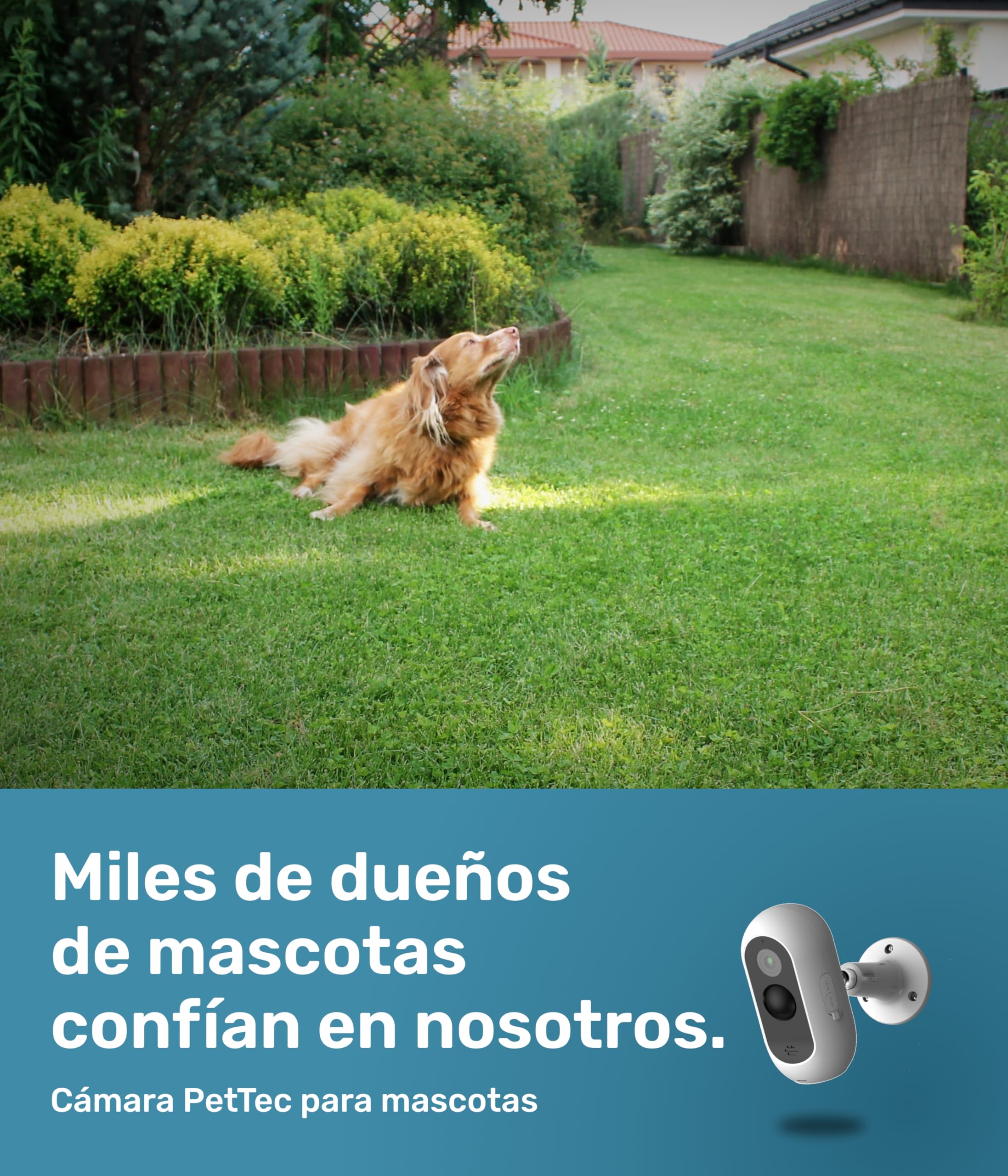 PetTec® CAM Free - Cámara Inalámbrica para Mascotas con App [SIN SUSCRIPCIÓN] - para Gatos y Perros, Interior/Exterior - Detección de Movimiento, Función de Voz - Batería hasta 9 Meses sin Cargar