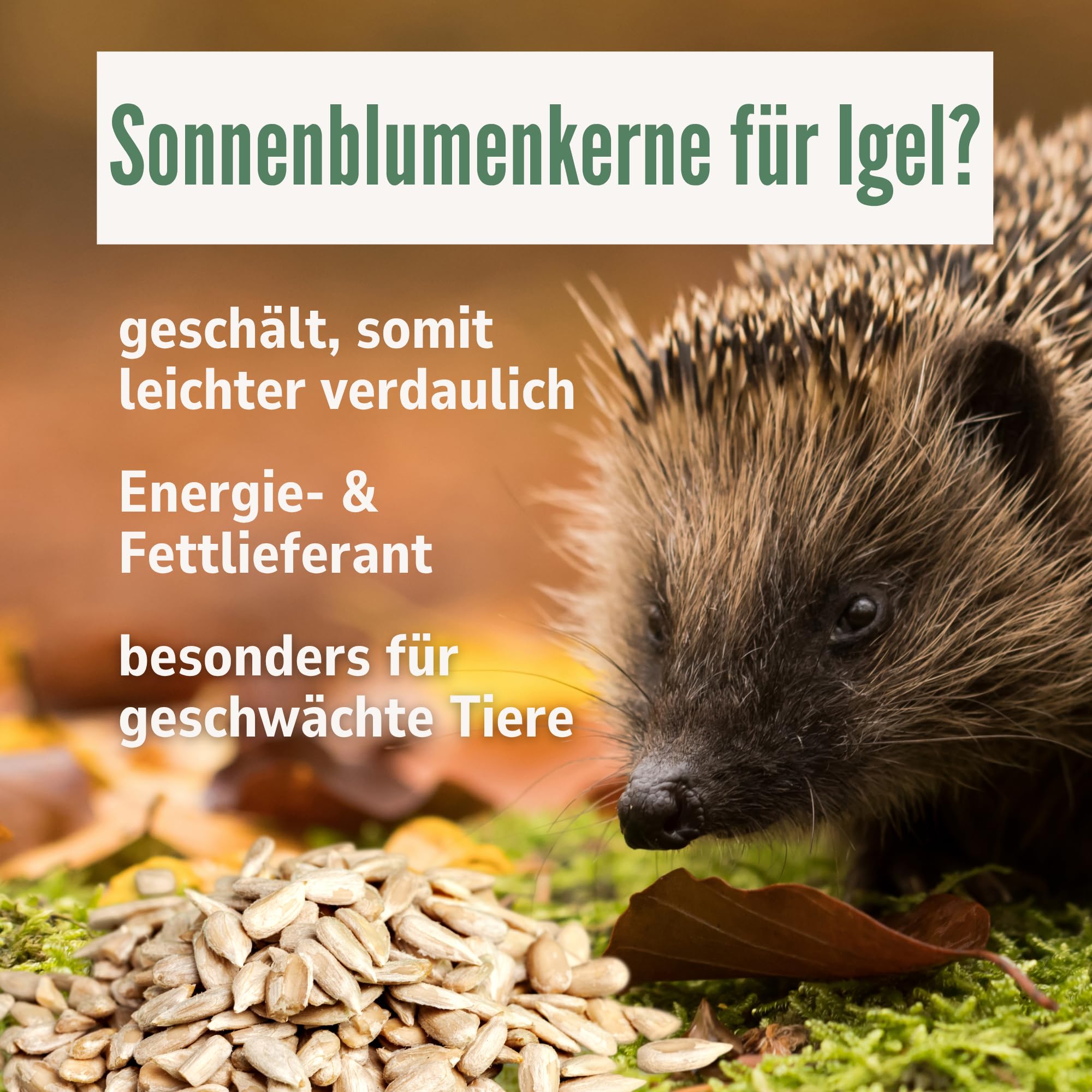Orni Igelfutter mit Insekten ohne Getreide | 5kg |Alleinfutter für Igel | Artgerecht | getreidefrei | Trockenfutter mit Mehlwürmer Seidenraupen und hohem Fleischanteil