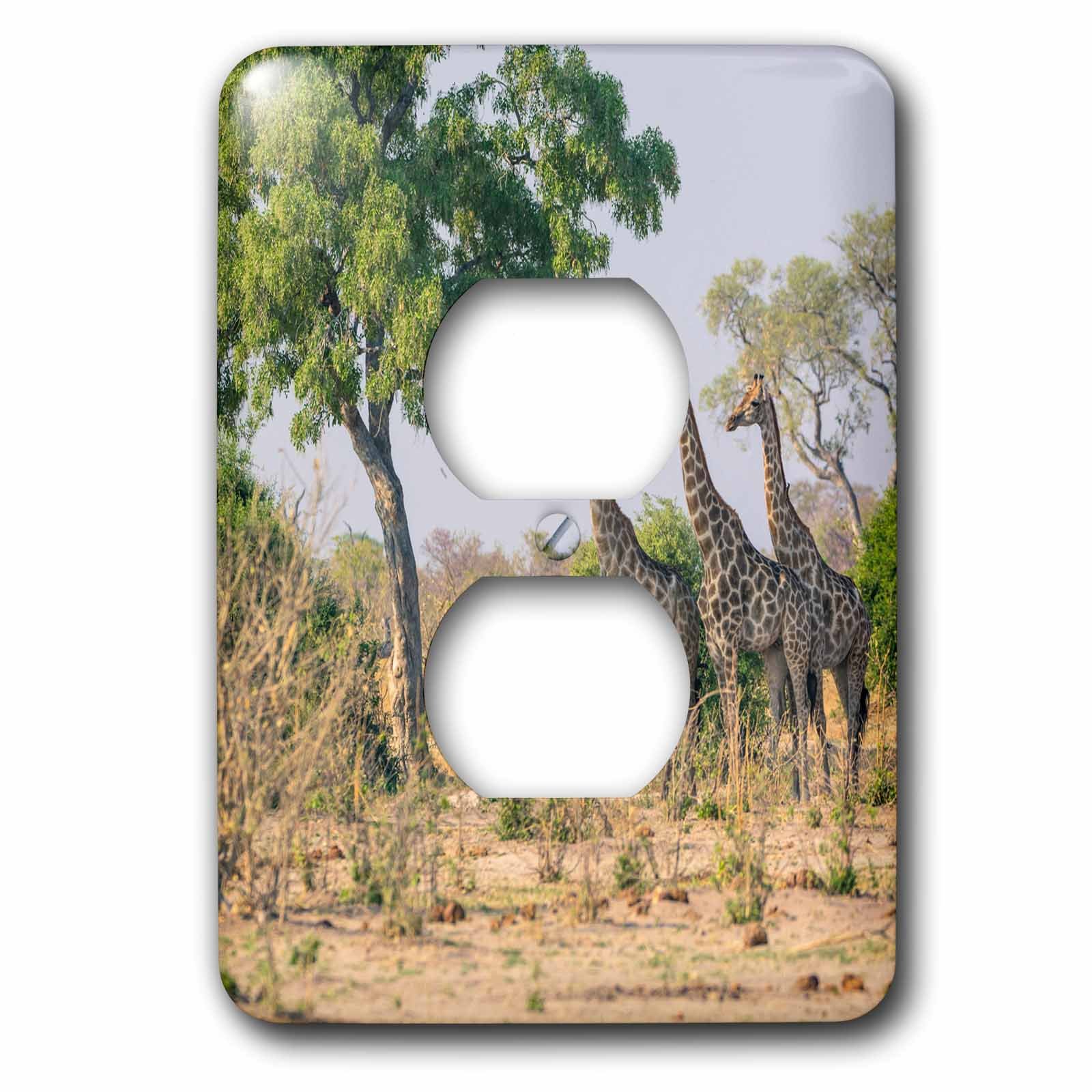 Plaque pour 2 prises de courant 2 ou interrupteur double décoratif 3dRose lsp_256853_6