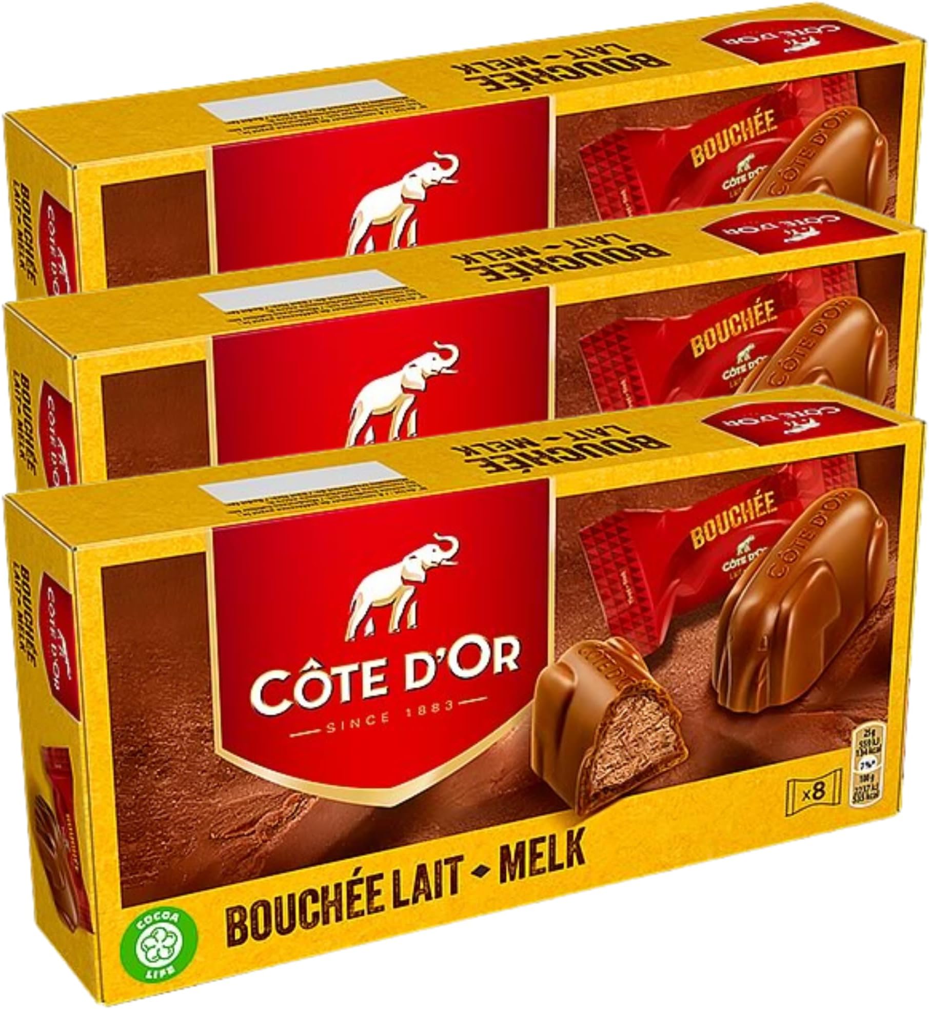 Cote Dor Milk Bouchee filled with creamy Praline, Chocolate gift for any chocolate lover | Comes with SAMASIA Bookmark