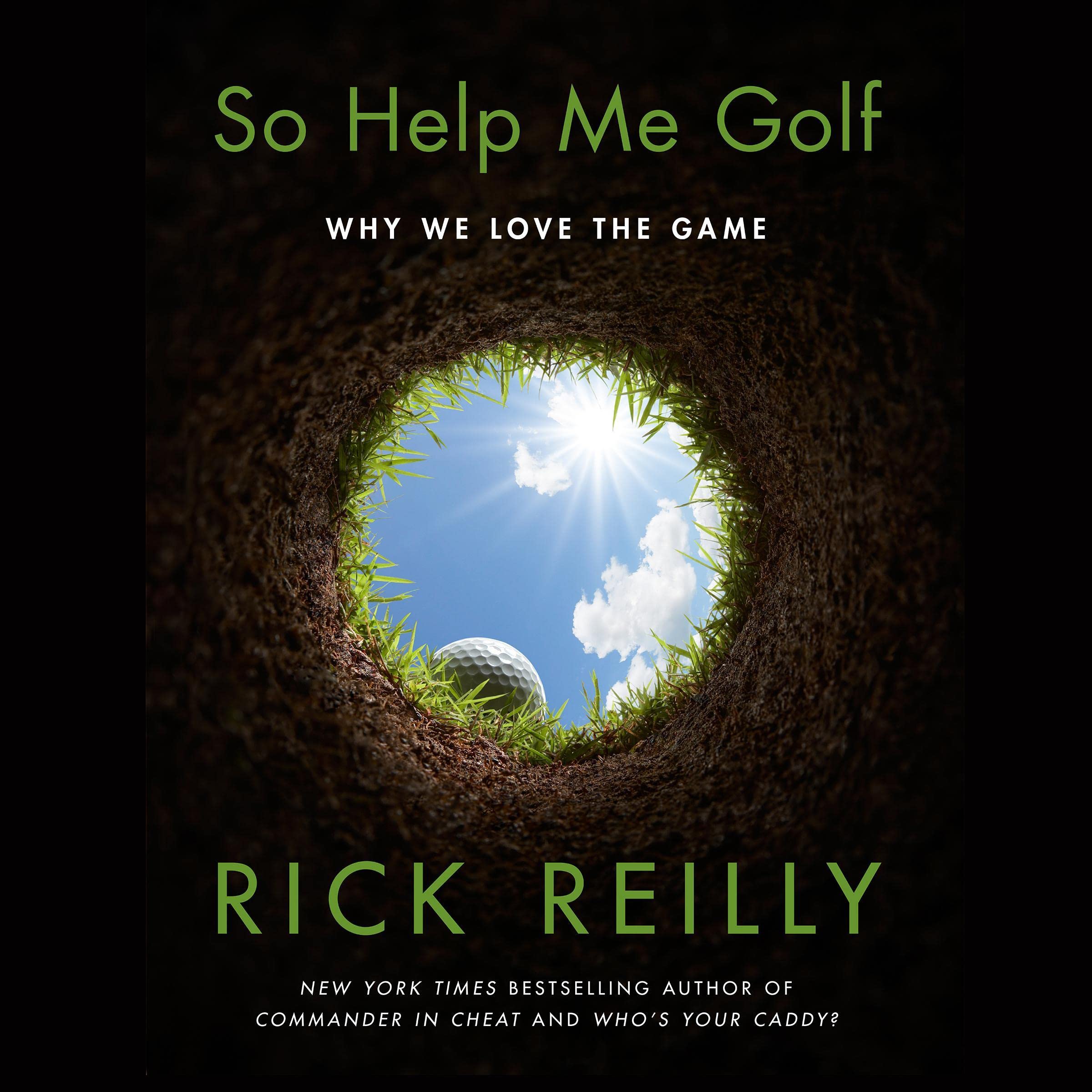 Cover art for So Help Me Golf