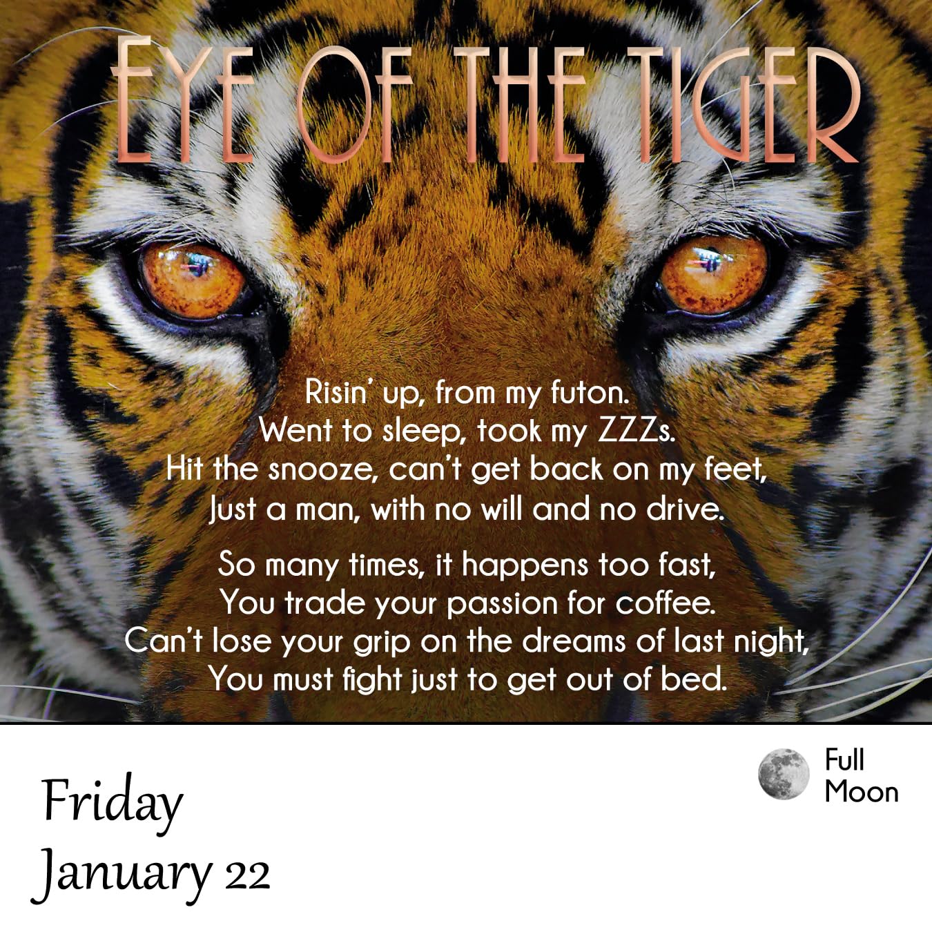 Demotivational 2027 Daily Calendar (A Funny, Uninspirational, and Humorous Page-A-Day / Day-to-Day Desk Calendar - all 365 days!)