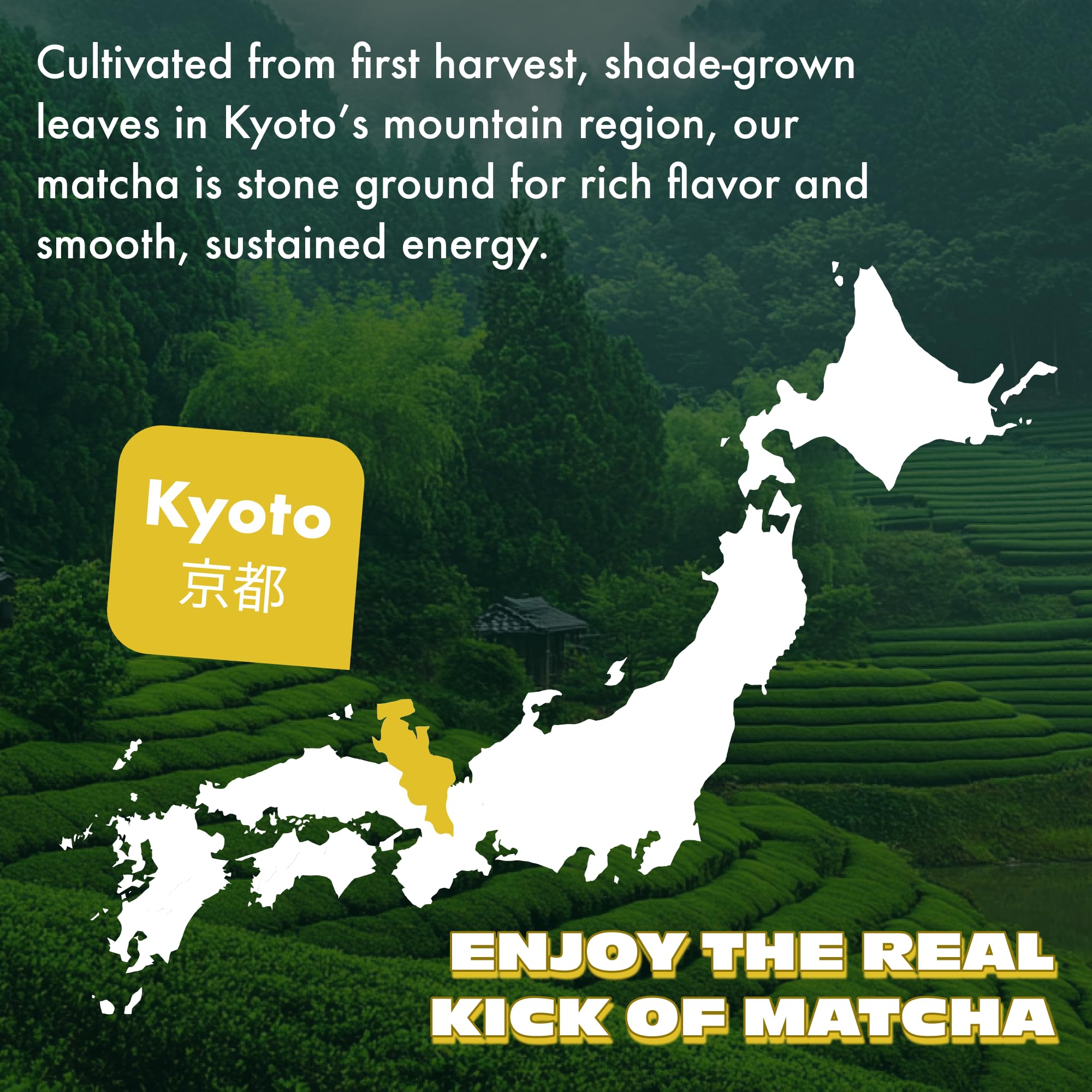 Lemon Matcha Green Tea Powder From Japan - 1 06 oz 30 g - Ceremonial Grade Sugar Free — view 3