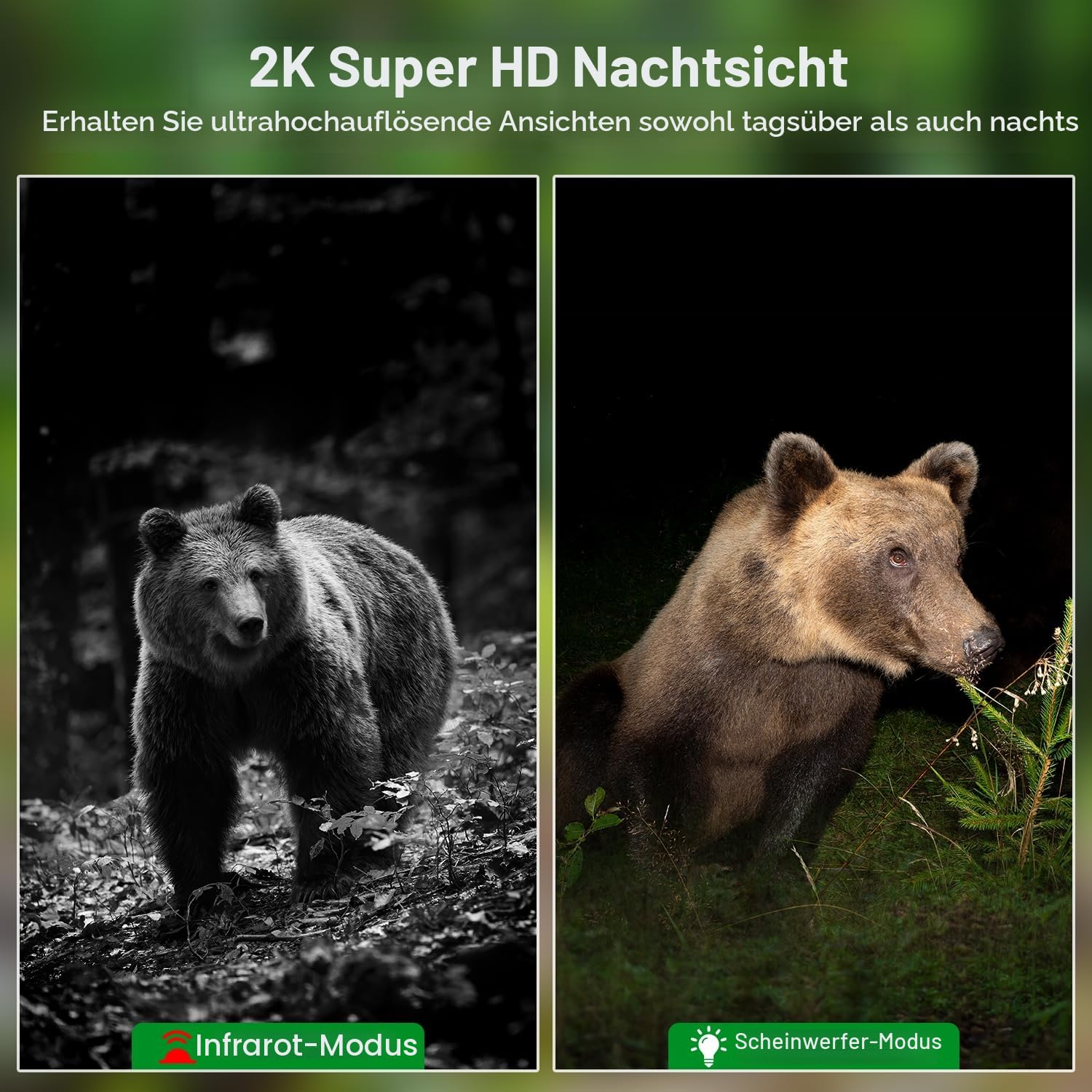 Lemnoi 4G LTE Solar Wildkamera mit Bewegungsmelder, Akku Wildkamera mit SIM Karte Preinstalliert und SD Karte, 2K Überwachungskamera Aussen mit Farbnachtsicht, PIR Erkennung,Wasserdicht (Tarnung)