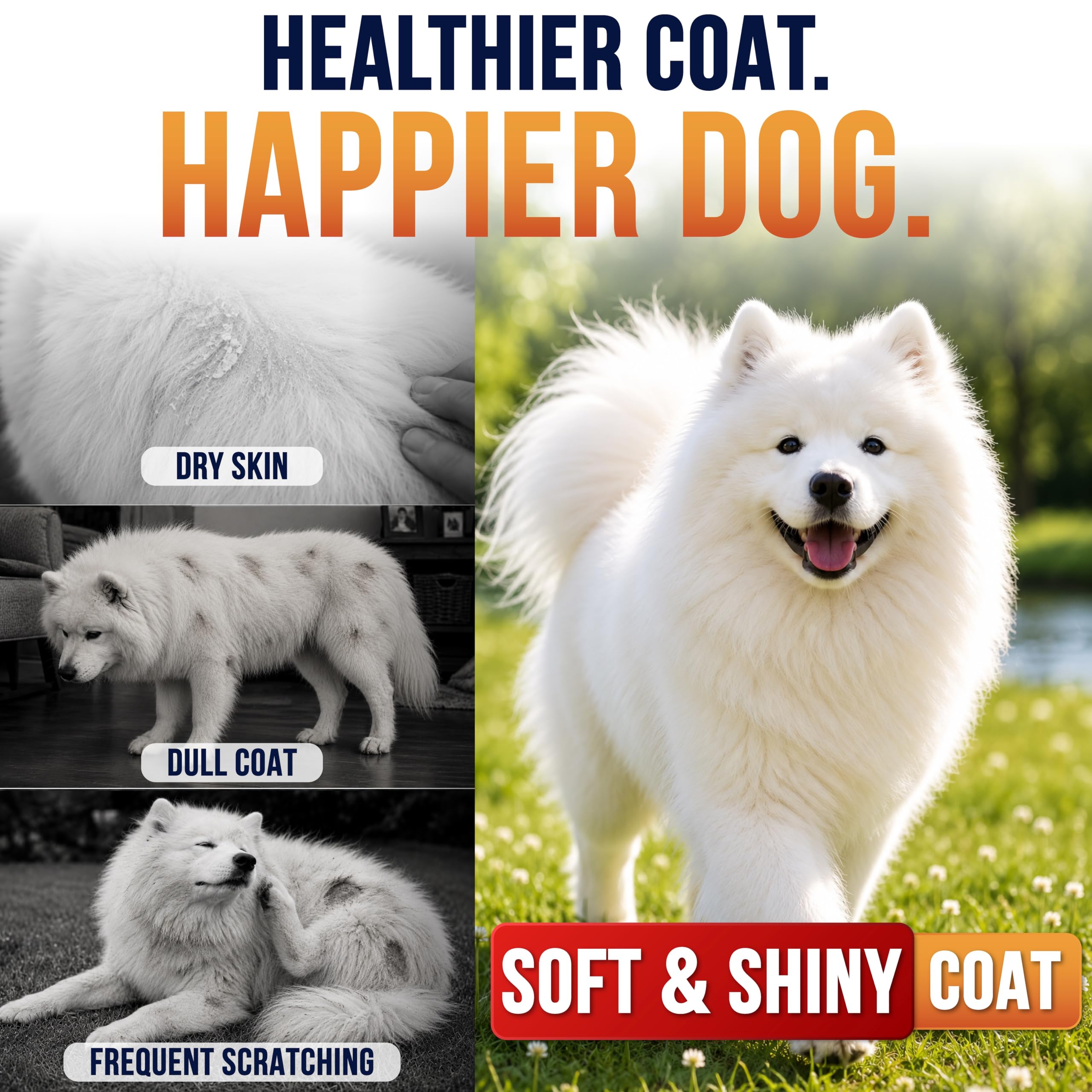 Omega 3 for Dogs - 250 Chews - Fish Oil for Dogs - Skin & Coat Supplement — Amazon image 6