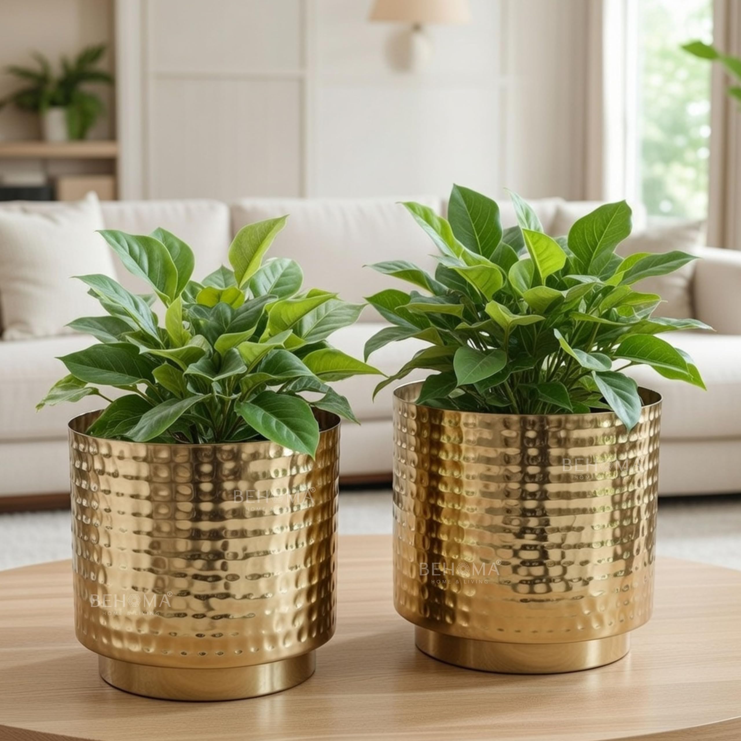BEHOMA Metal Hammered Golden Mini Table top Planter for Home Decoration | Plant Pots for Home Living Room Bedroom Office Decor | Set of 2 (Plants not Included)-image-11