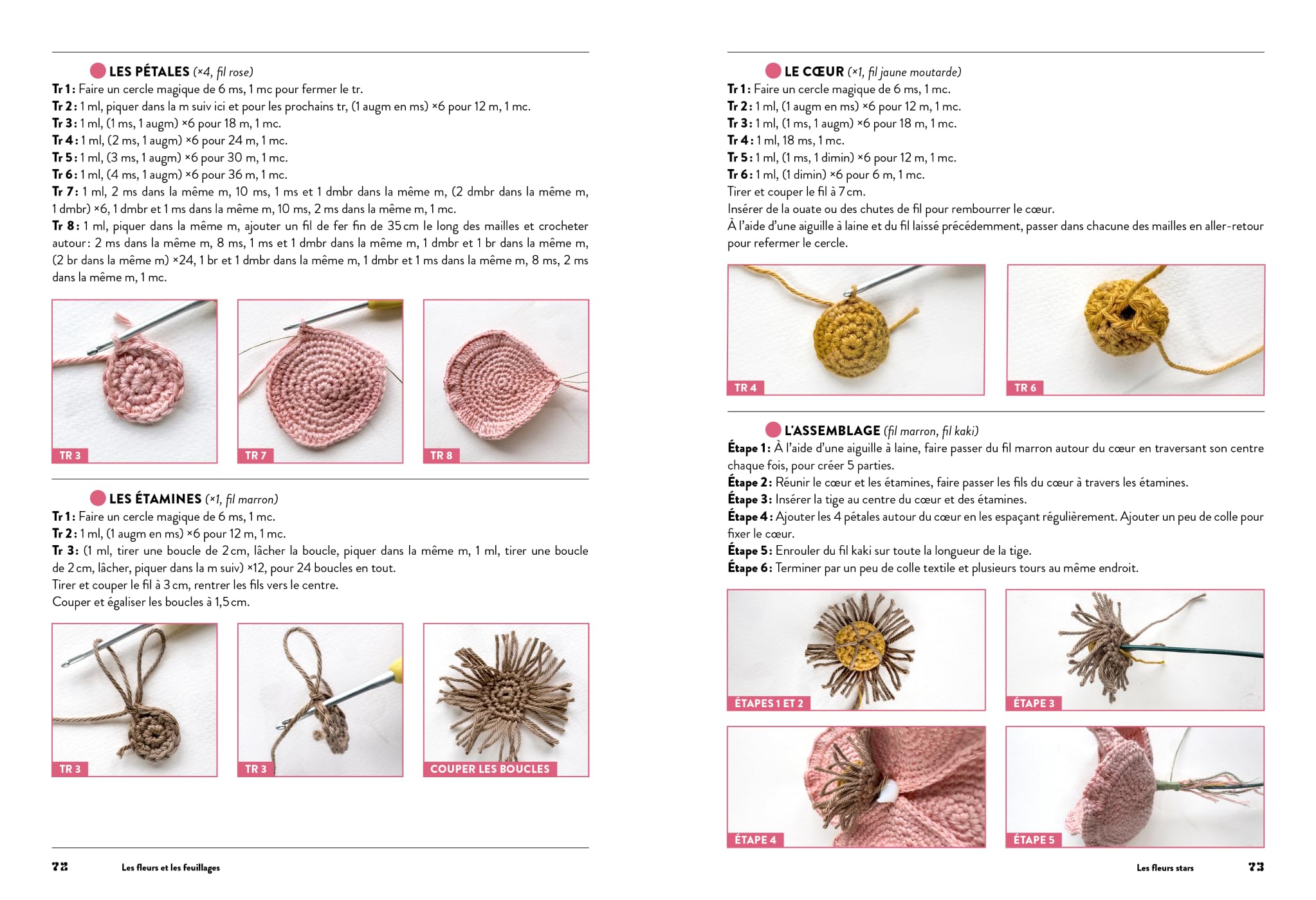 Mon bouquet au crochet: 25 fleurs à réaliser et à associer
