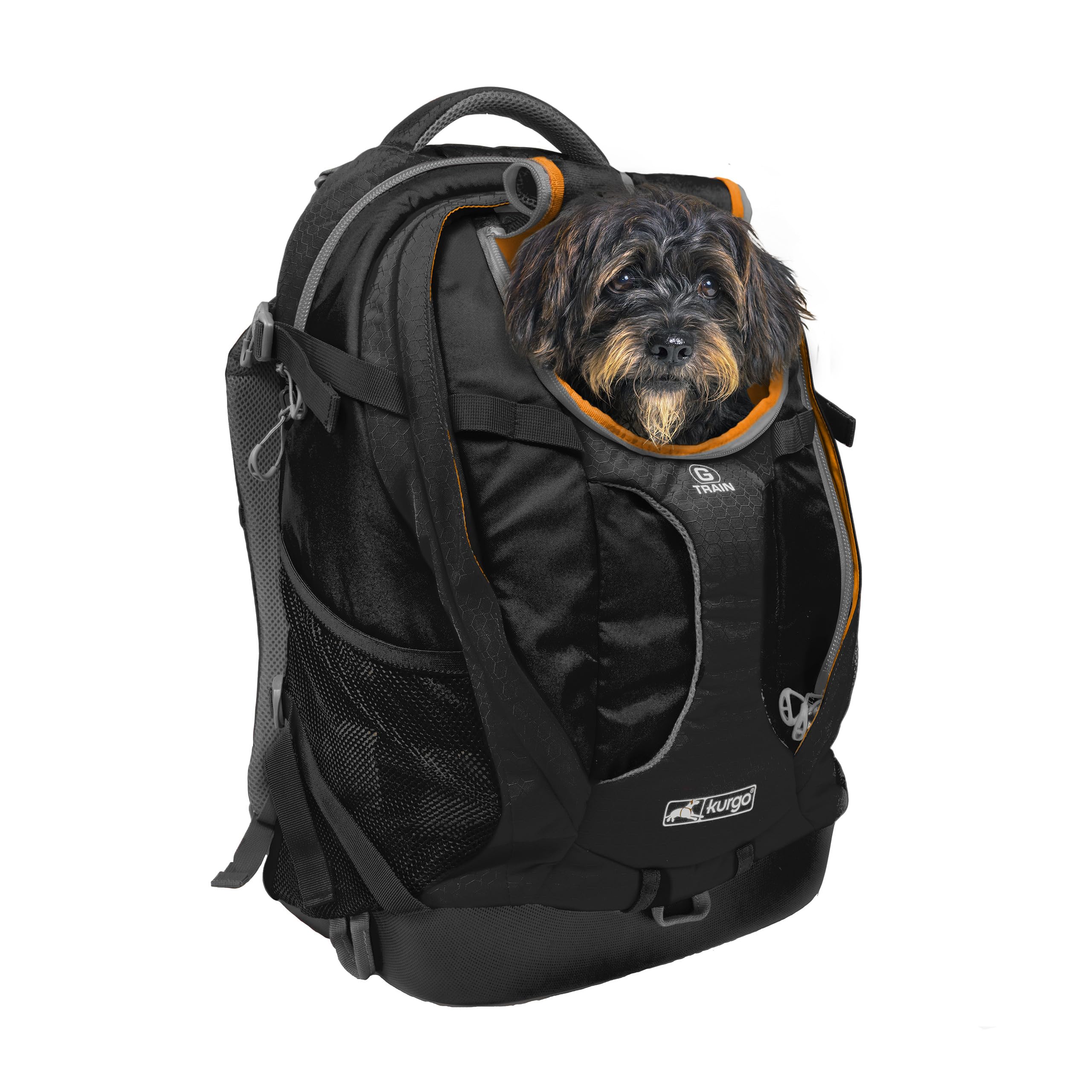 Kurgo G-Train Hundetransportrucksack - Bequemer Reiserucksack für kleine Hunde bis zu 11 kg - Robustes Design - Laptopfach - Armorsole-Boden - Wasserabweisend - Schwarz