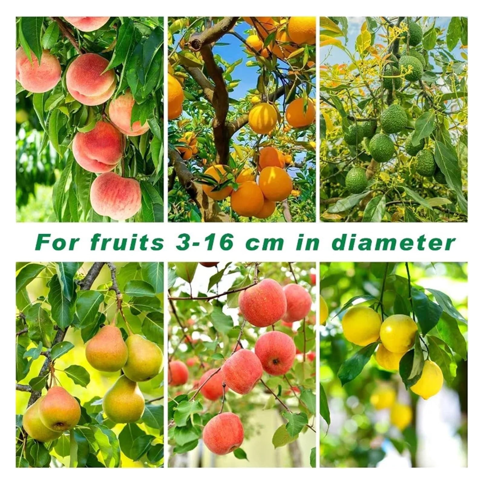Palo telescopico for la raccolta della frutta da 11,5 piedi - Acciaio inossidabile leggero con grande cestino in tessuto non tessuto for mele, mango e arance