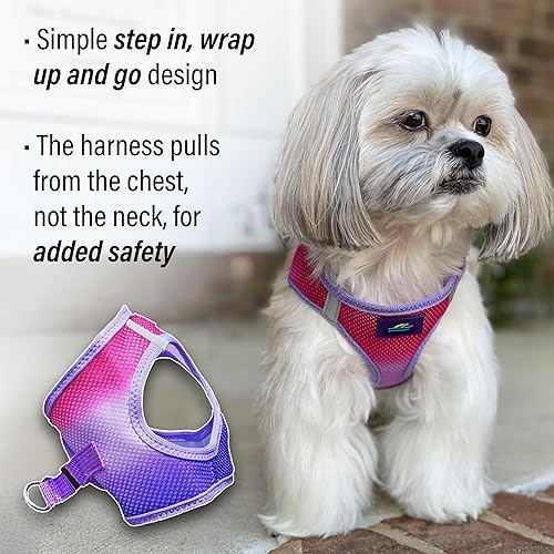 Vista 178 de DOGGIE DESIGN American River - Arnés para perro de la colección ombré, color frambuesa (S (circunferencia de 13 a 16 pulgadas)