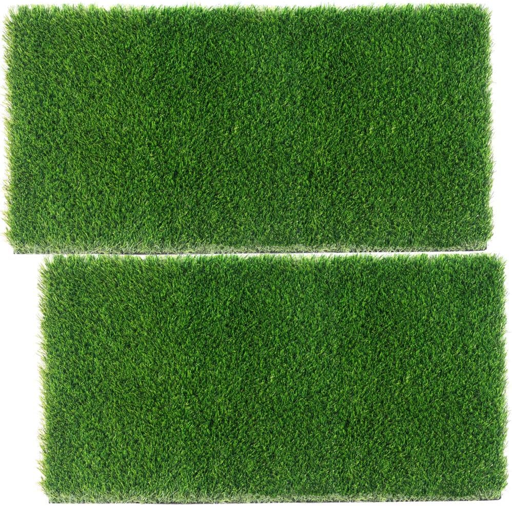 ZestyNest Two 24"x48" Inch Grass Doormats with Stain Resistant Artificial Grass Technology