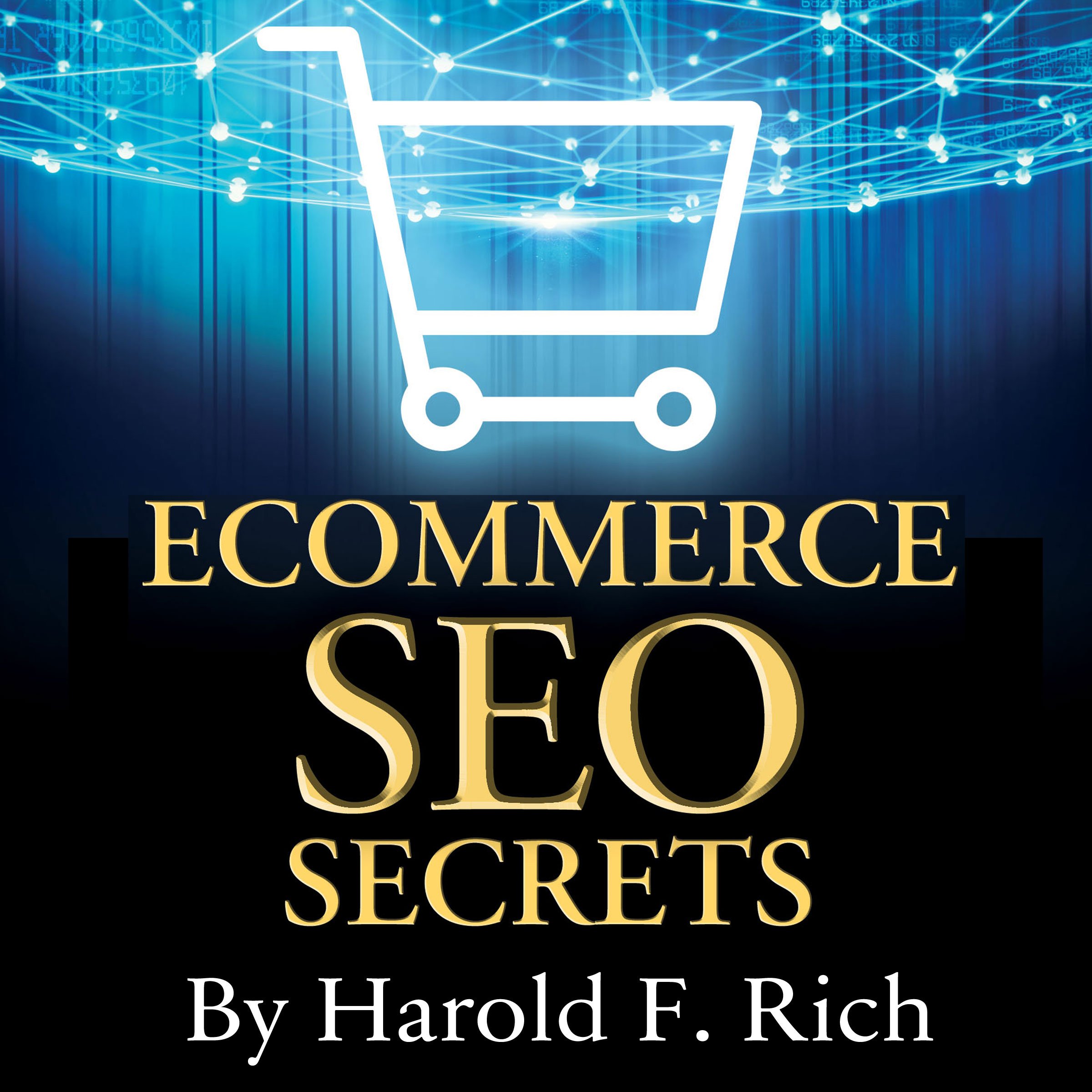 Cover art for E-Commerce SEO Secrets