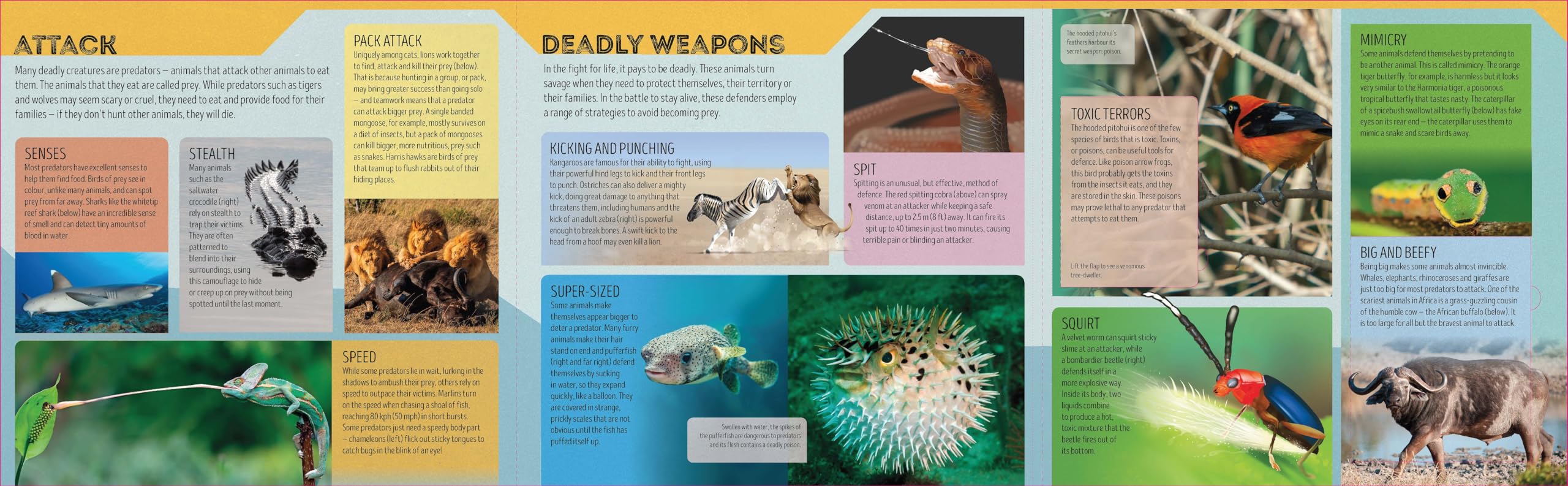 Deadly Animal Atlas -anglais-: Amazing Facts, Fold Out Maps & Lift the Flaps | Meet Snakes, Sharks, Tigers, Jellyfish & More | Packed with Beautiful Illustrations