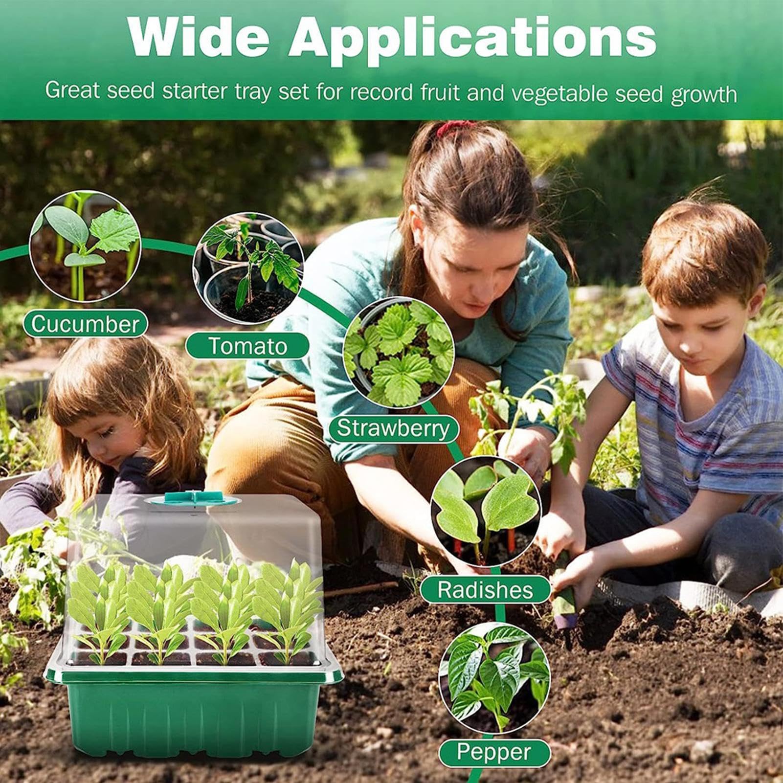 Plateaux pour, Kit Initial de Jardinage intérieur, Plateau de Germination des, Kit de Propagation des, Kit de Propagation des Clones, Kit de démarrage des de dans