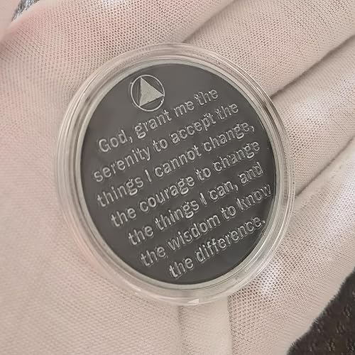 Miniatura 2 de Agradecido a estar vivo Sobriedad Chip AA Monedas y Medallones Recuperación Aniversario Token (moneda individual)